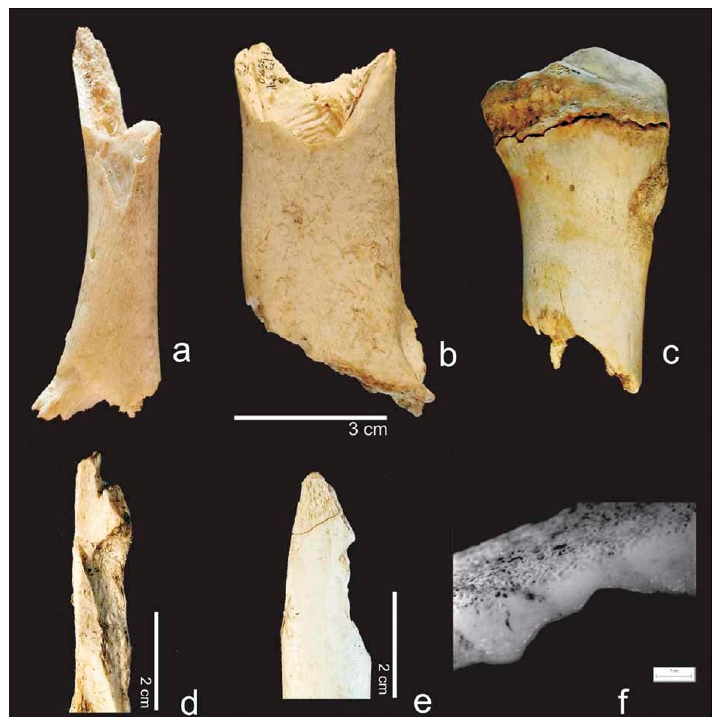 Biology 11 00601 g005 Biology 11 00601 g005