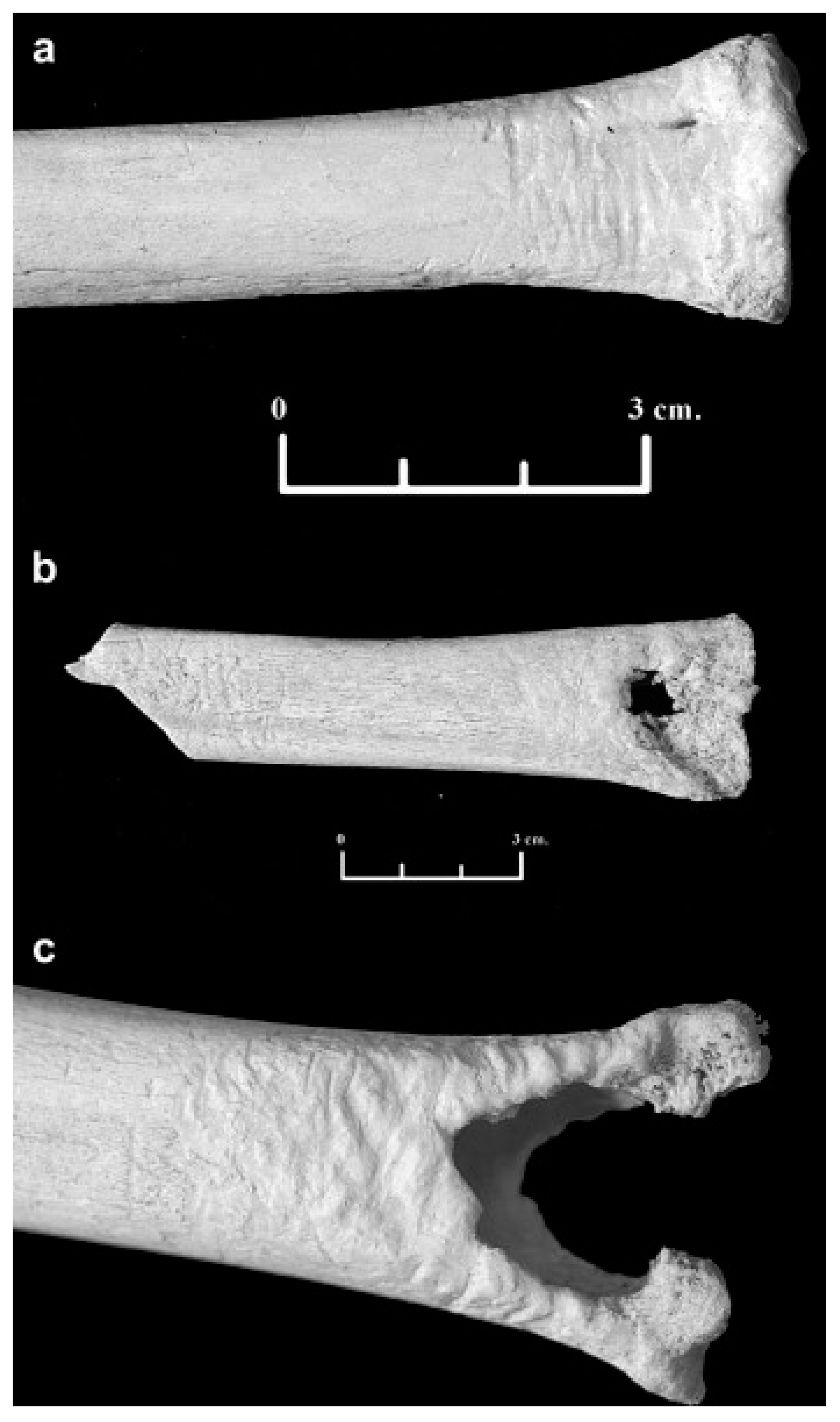 Biology 11 00601 g010 Biology 11 00601 g010