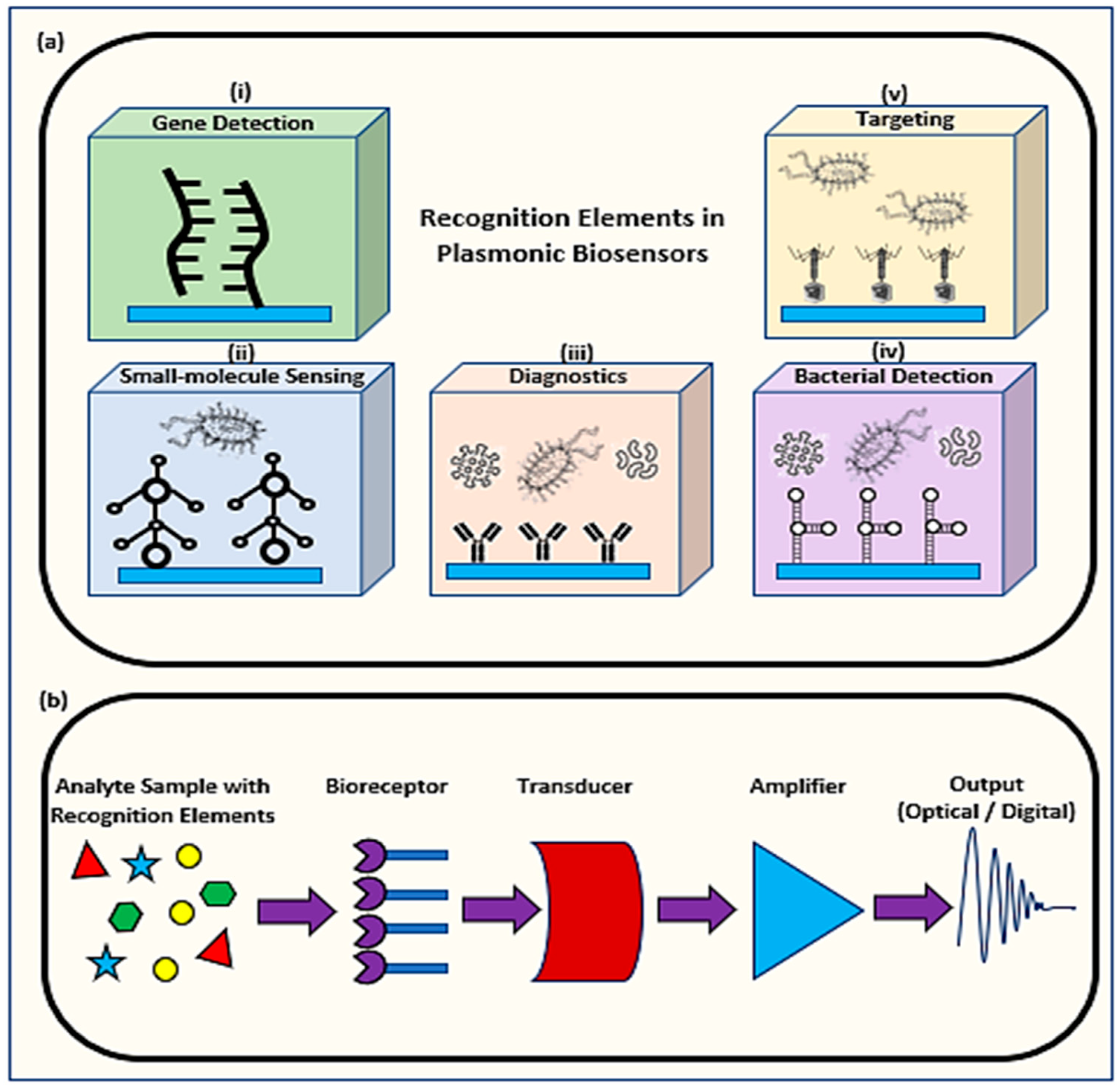 Biology 11 00621 g001