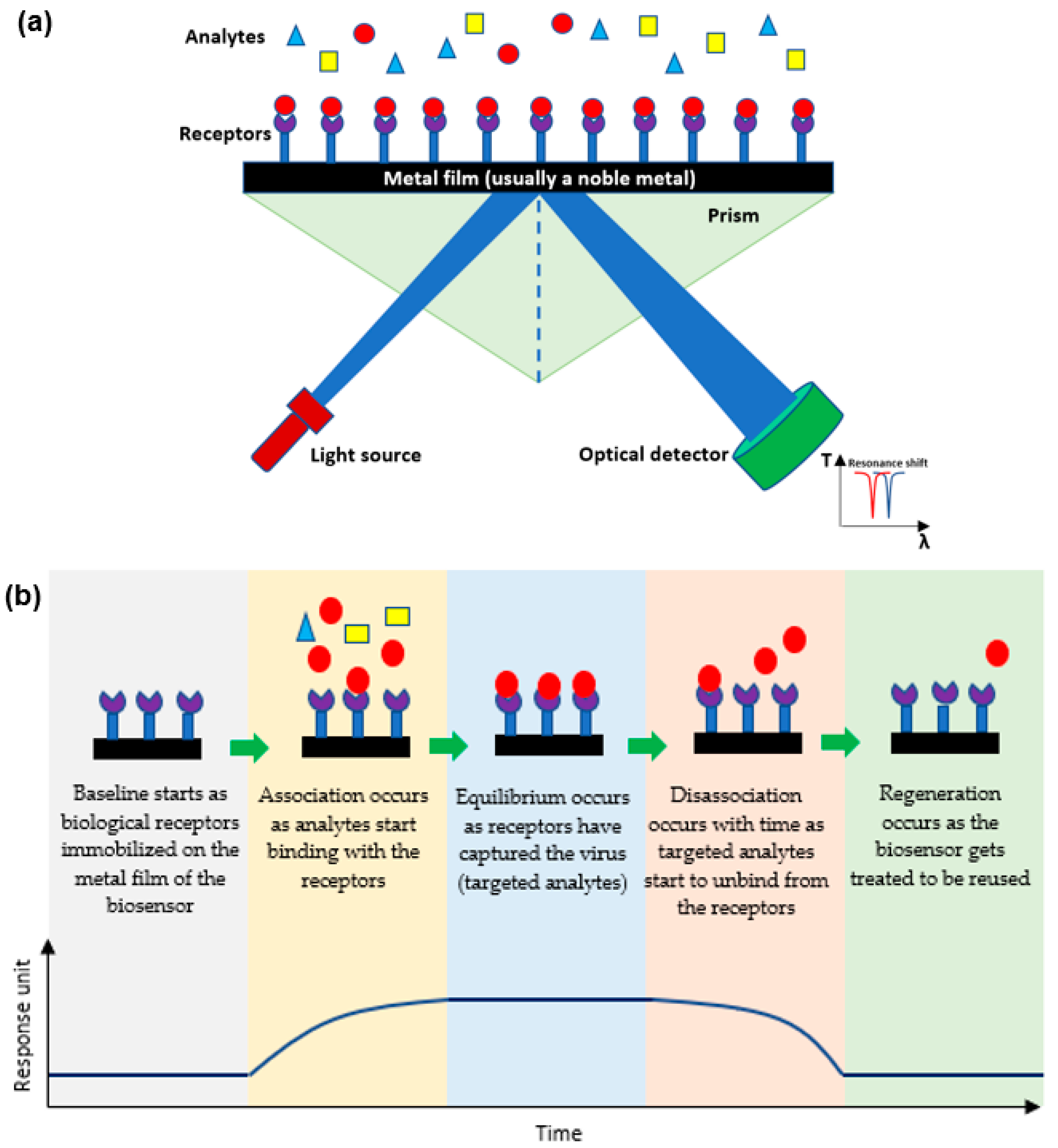 Biology 11 00621 g002