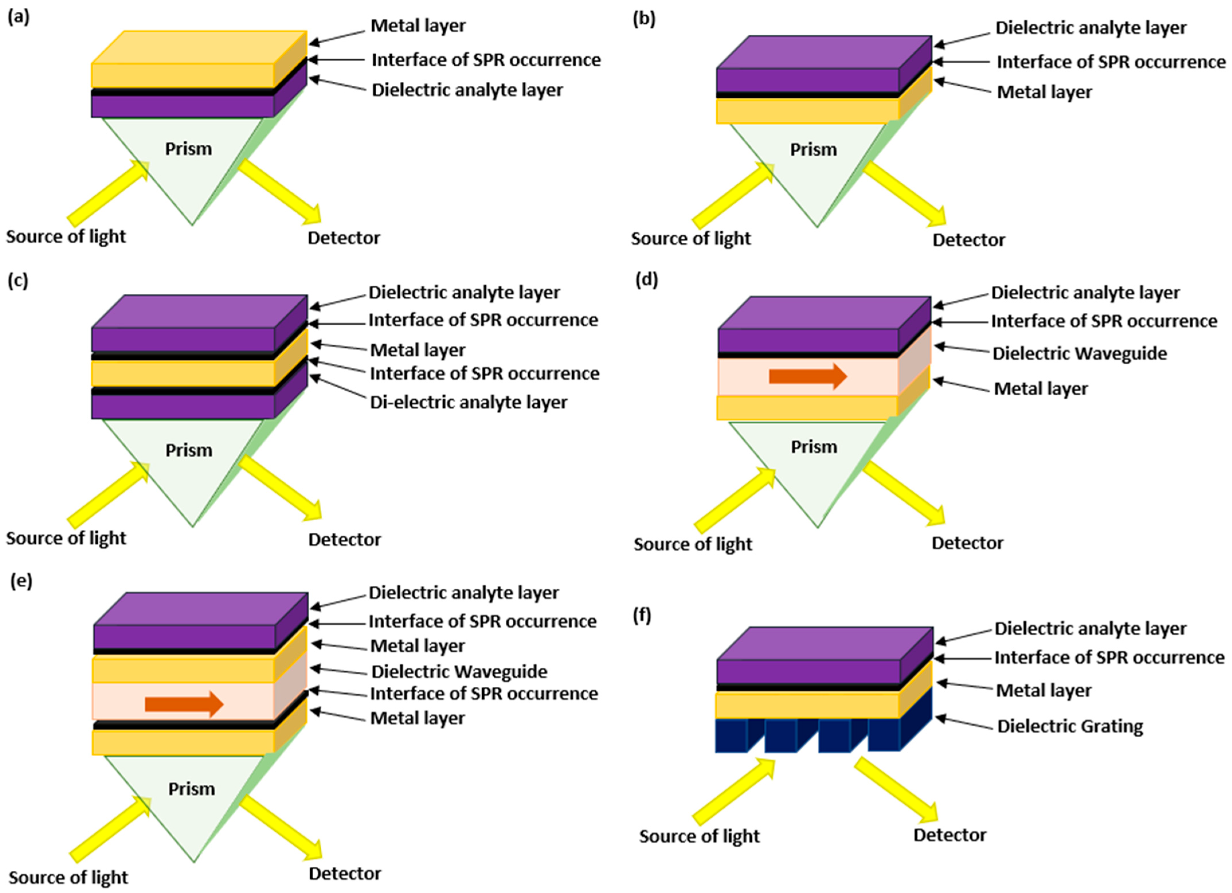 Biology 11 00621 g004