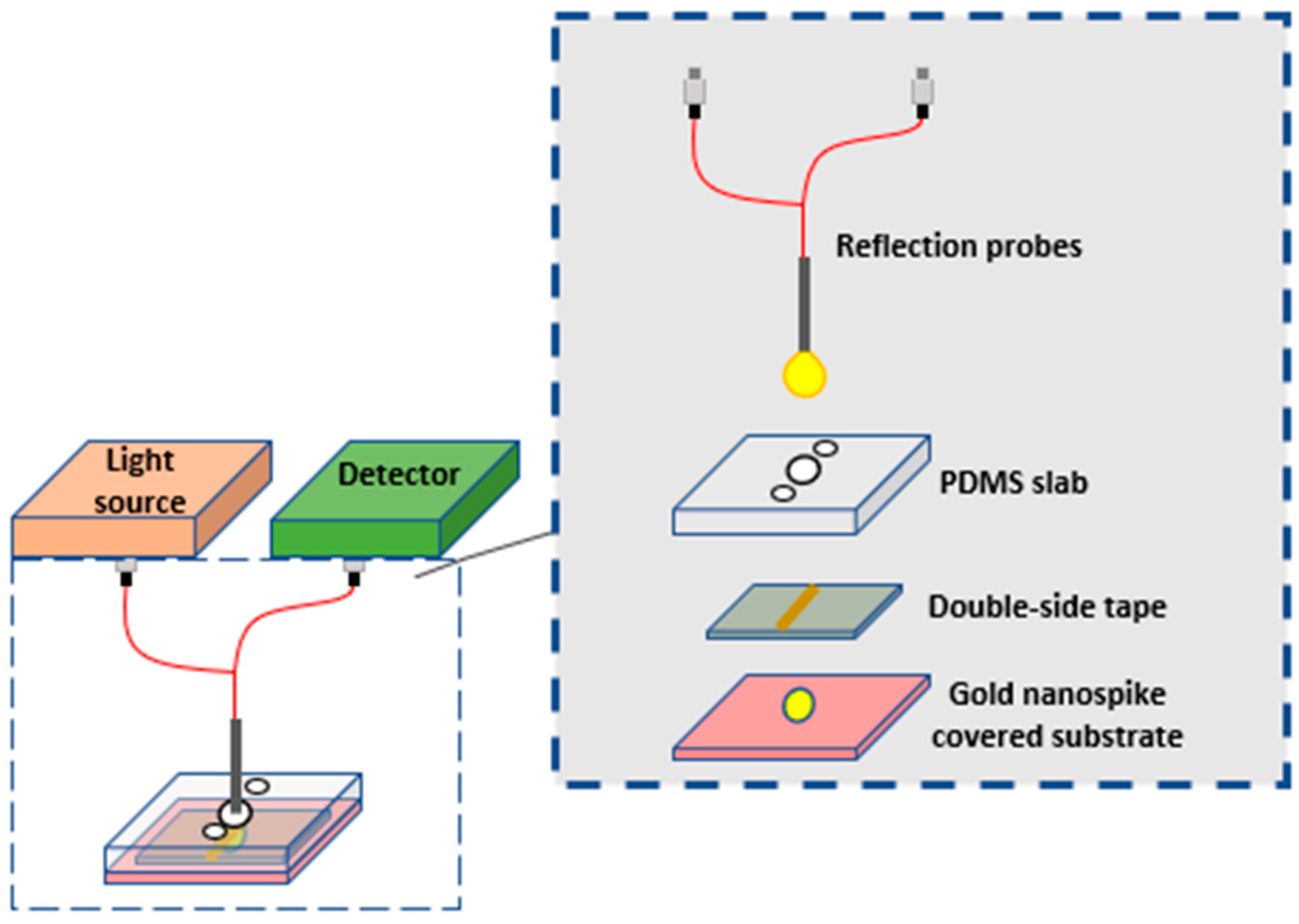 Biology 11 00621 g005