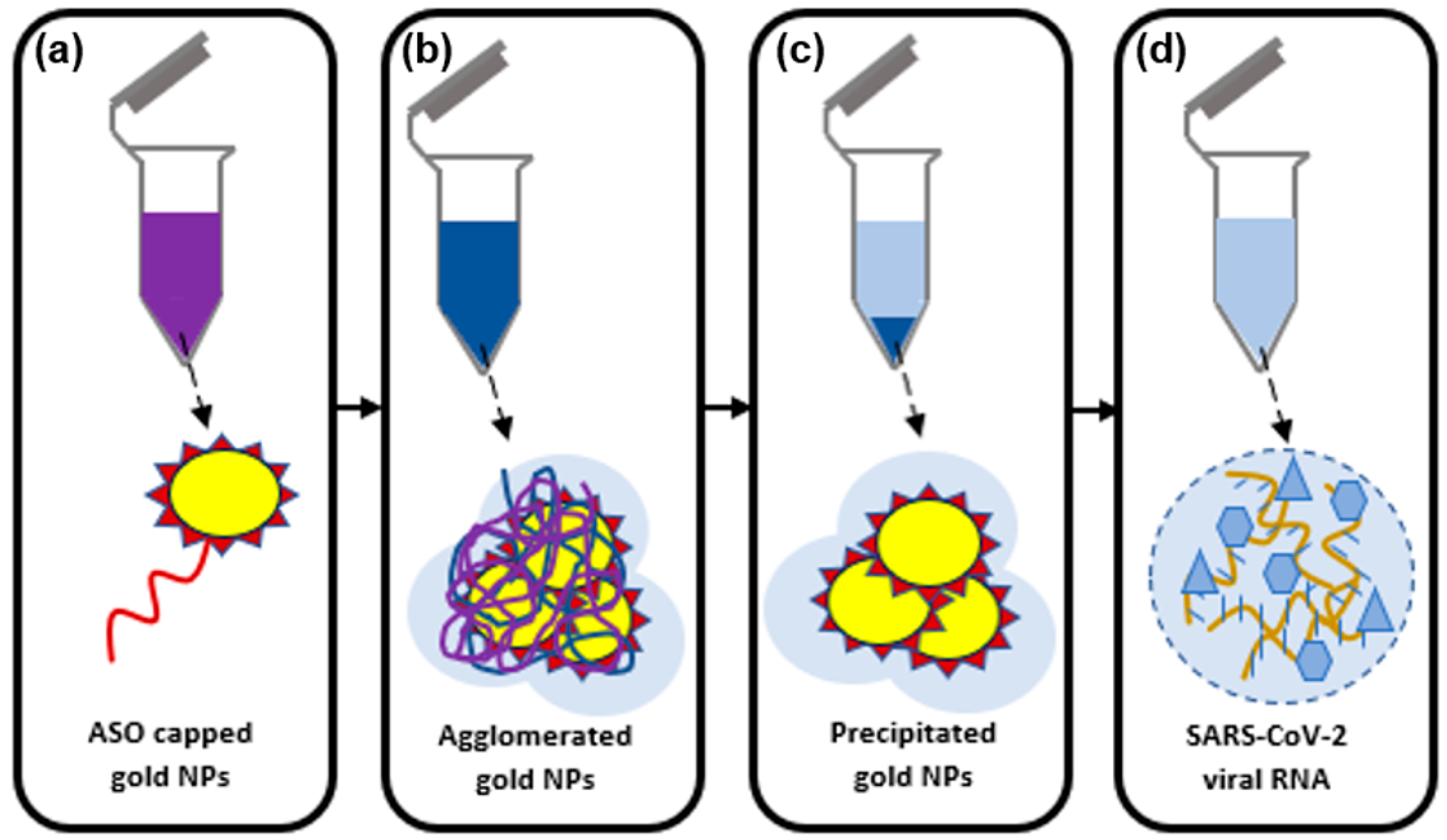 Biology 11 00621 g006