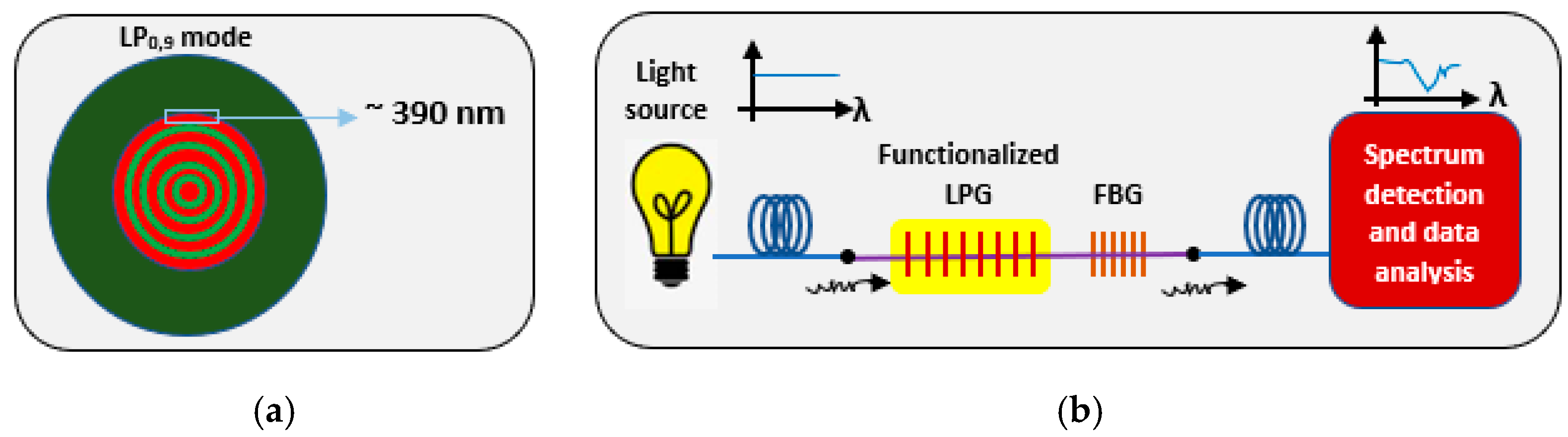 Biology 11 00621 g009
