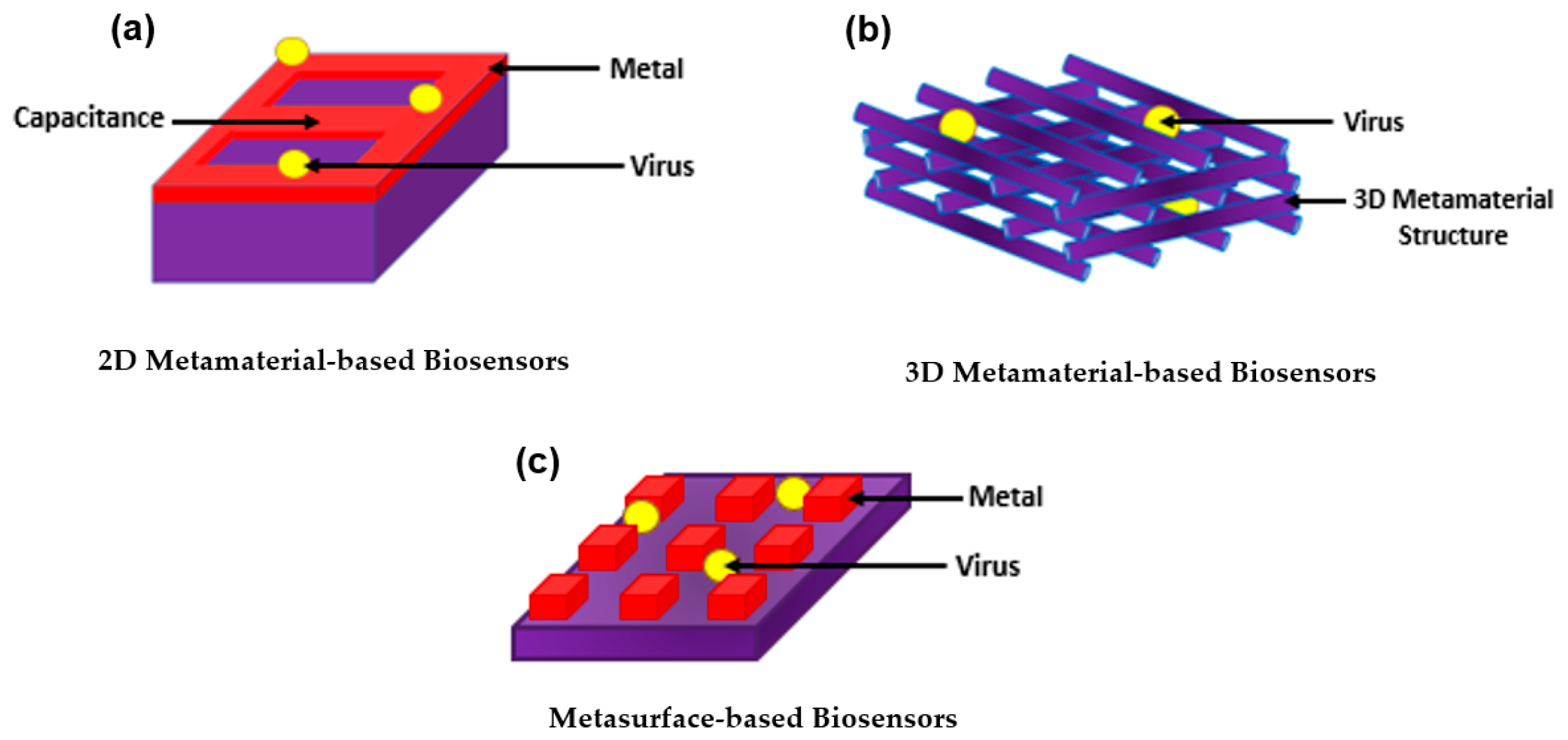 Biology 11 00621 g014