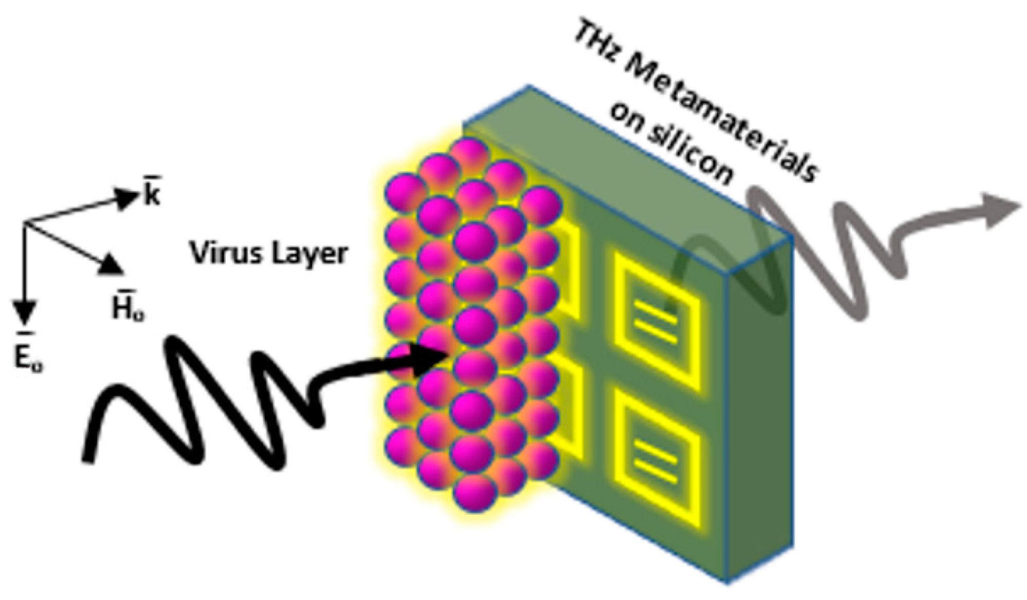 Biology 11 00621 g015