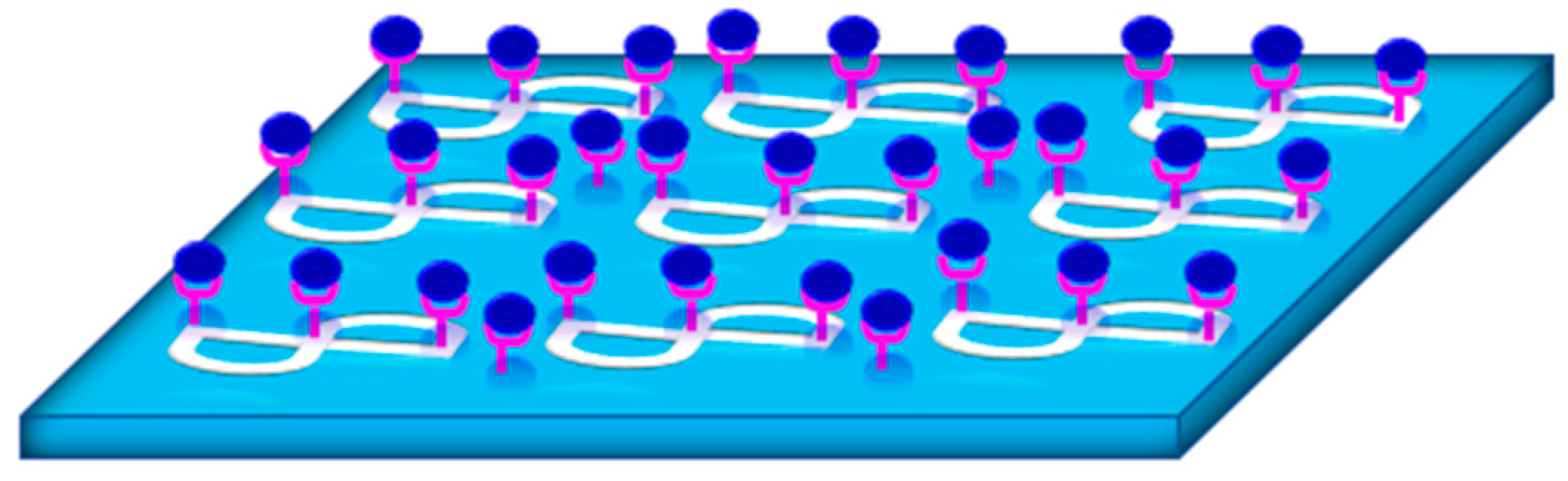 Biology 11 00621 g016