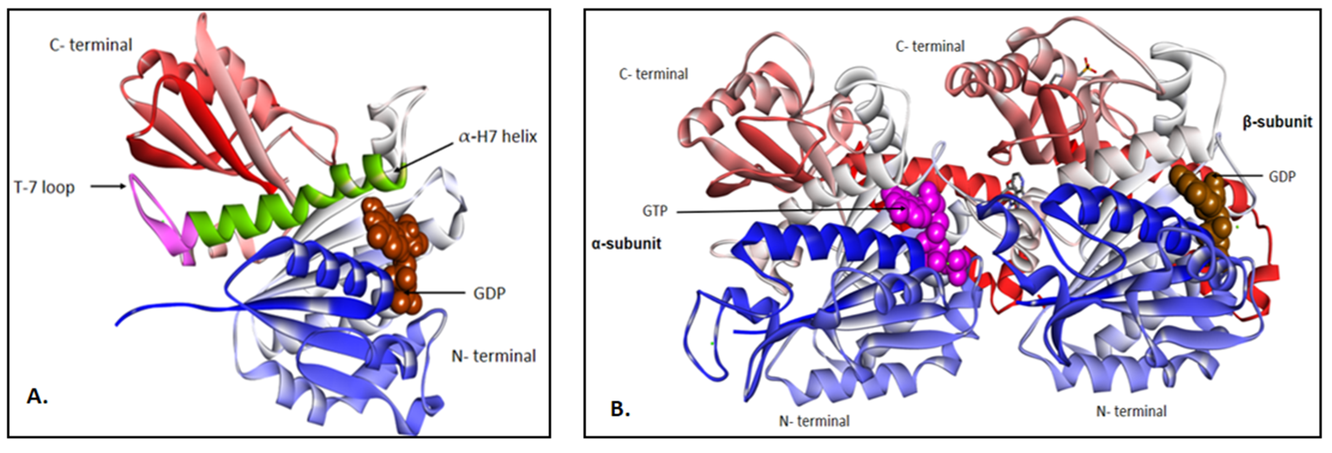 Biology 11 00624 g003