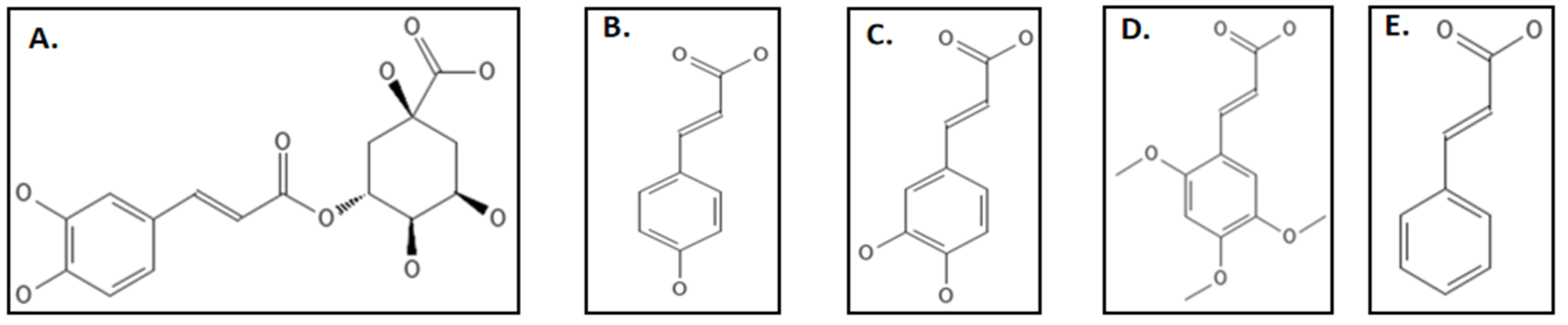 Biology 11 00624 g015