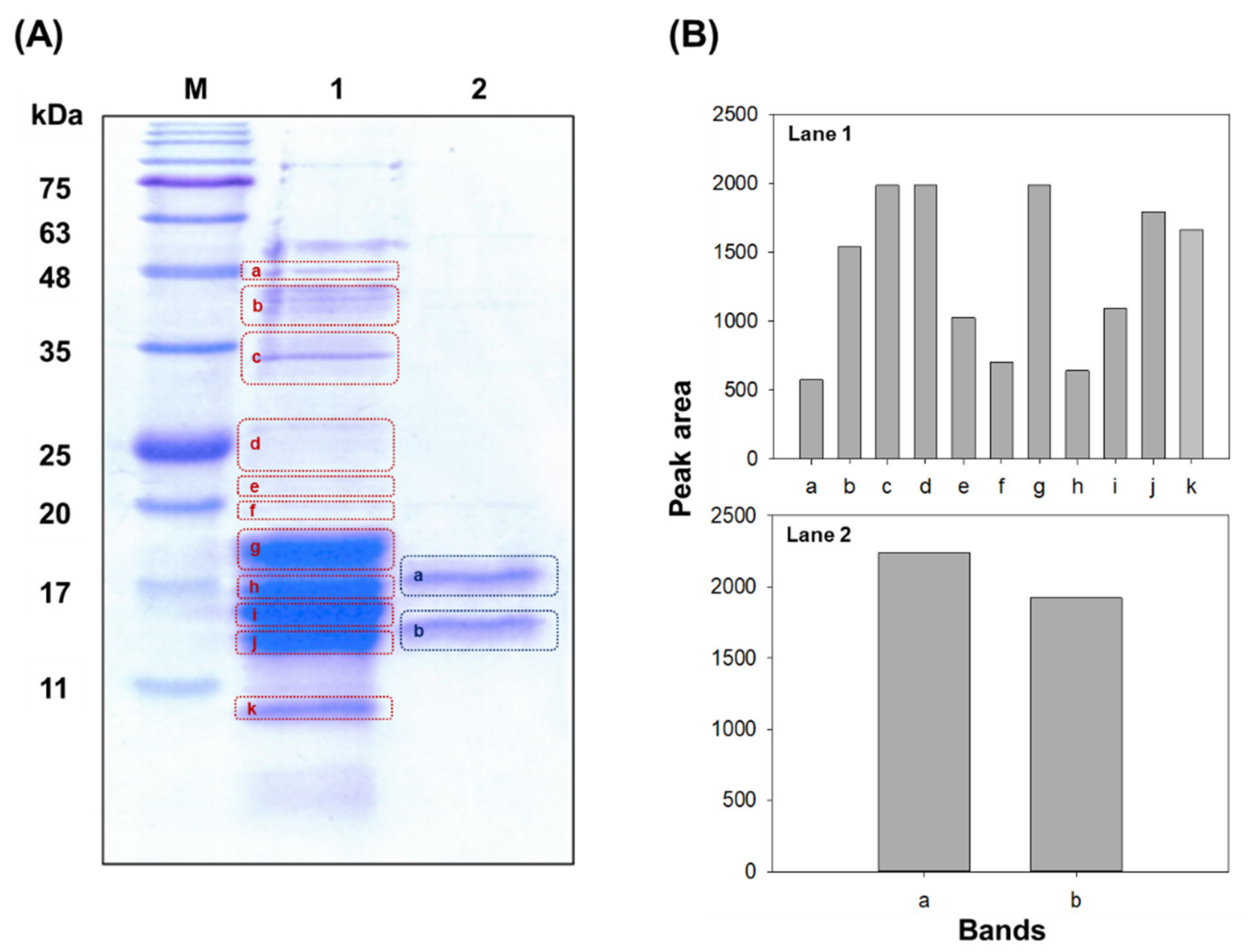 Biology 11 00628 g004