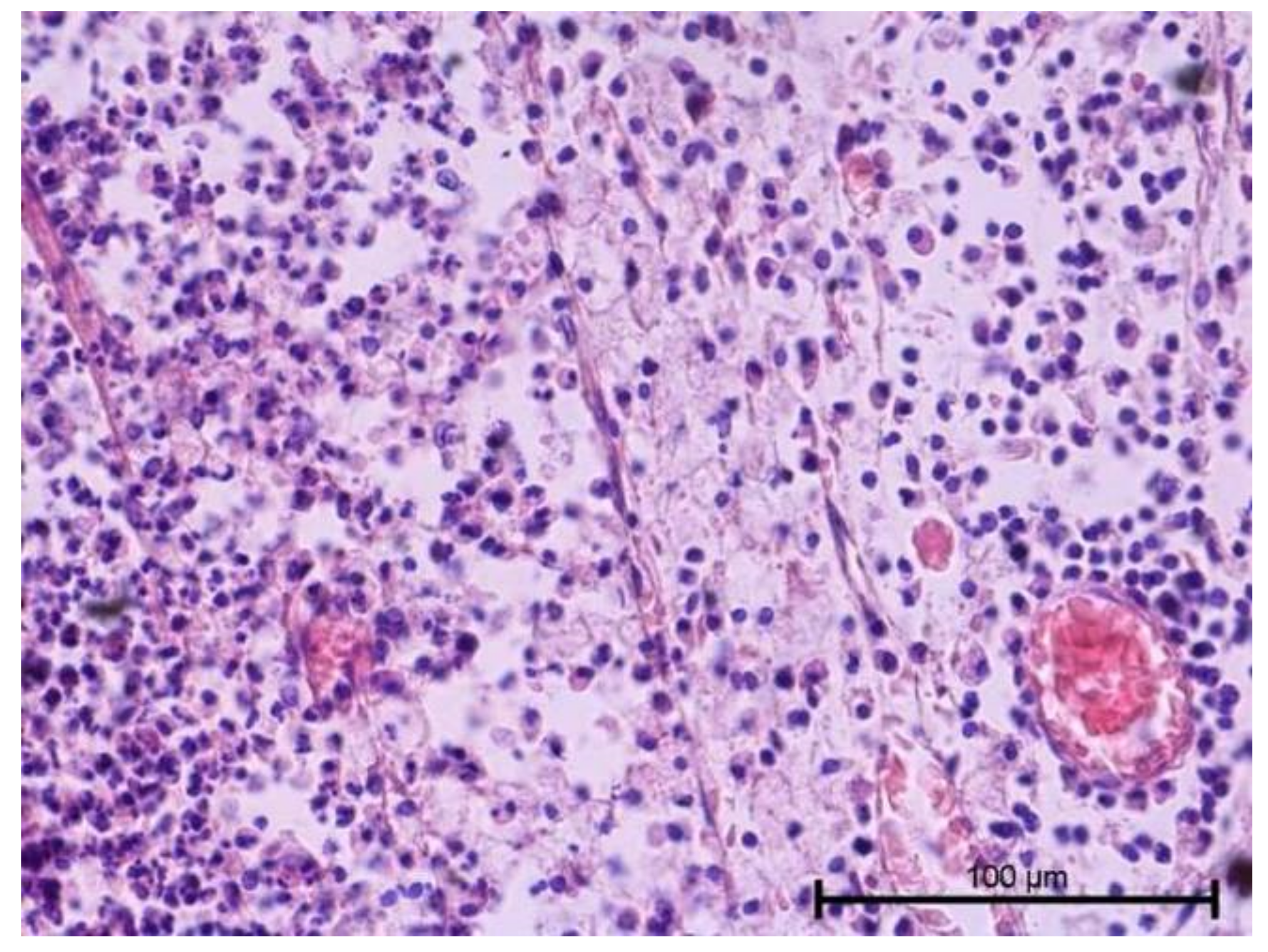 Biology 11 00635 g002