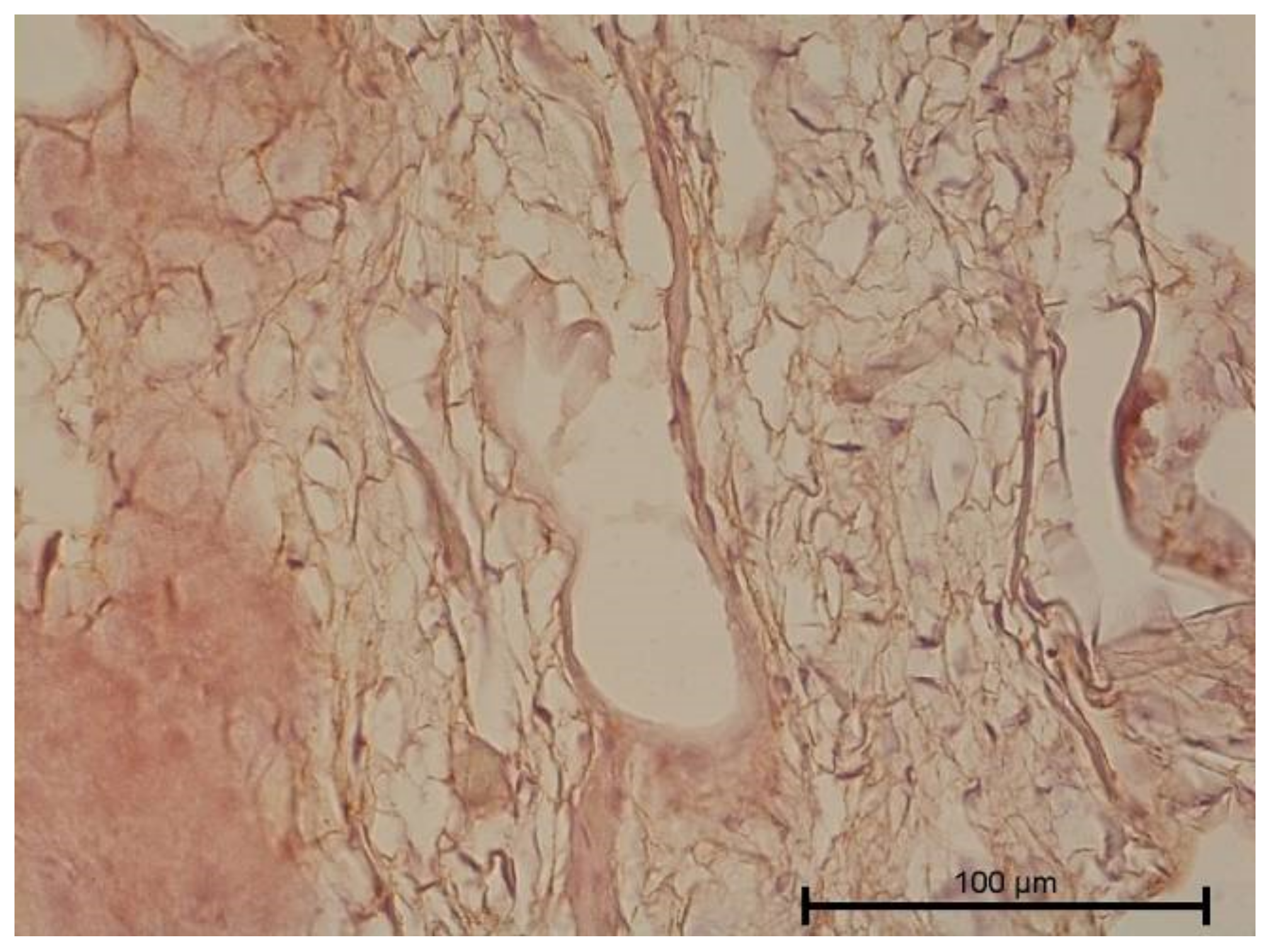 Biology 11 00635 g009