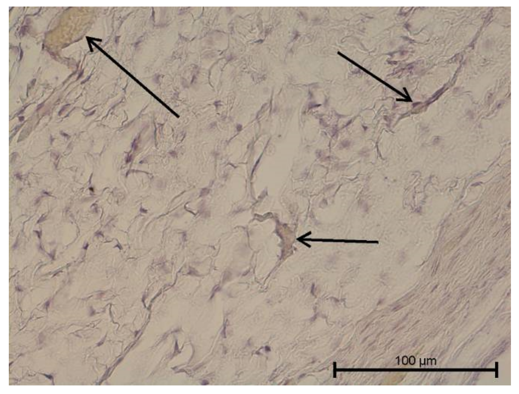 Biology 11 00635 g010