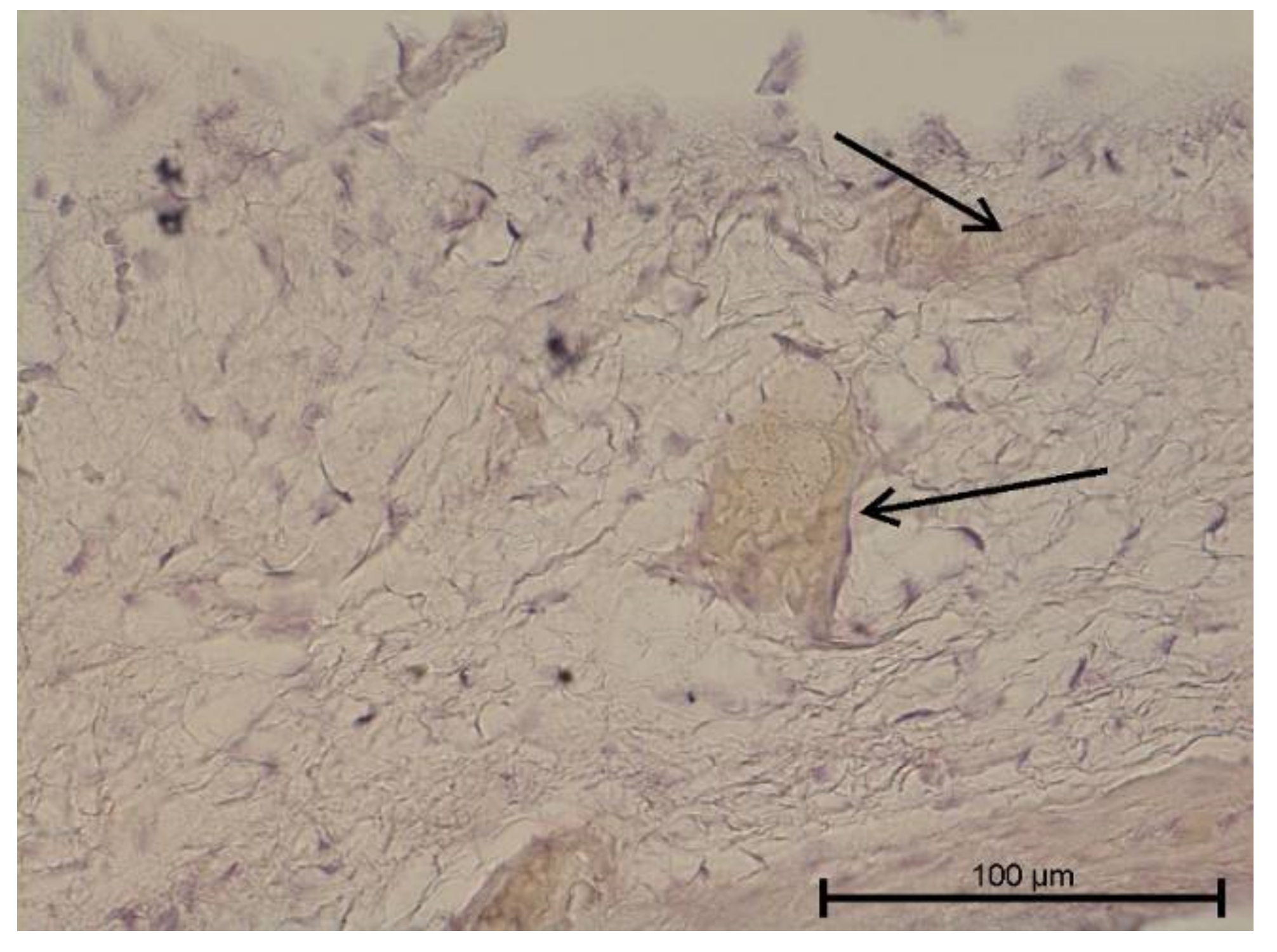 Biology 11 00635 g011
