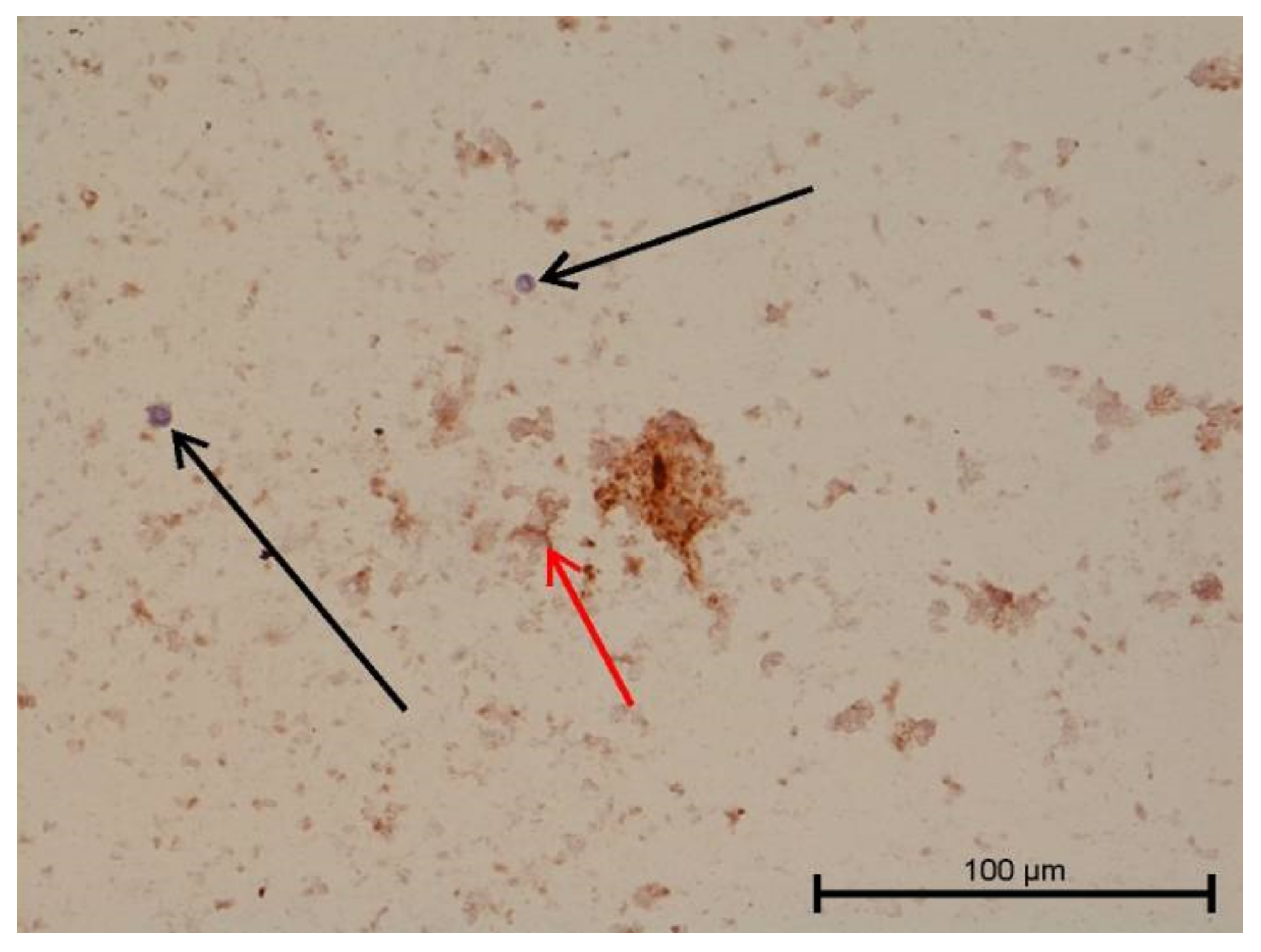 Biology 11 00635 g012