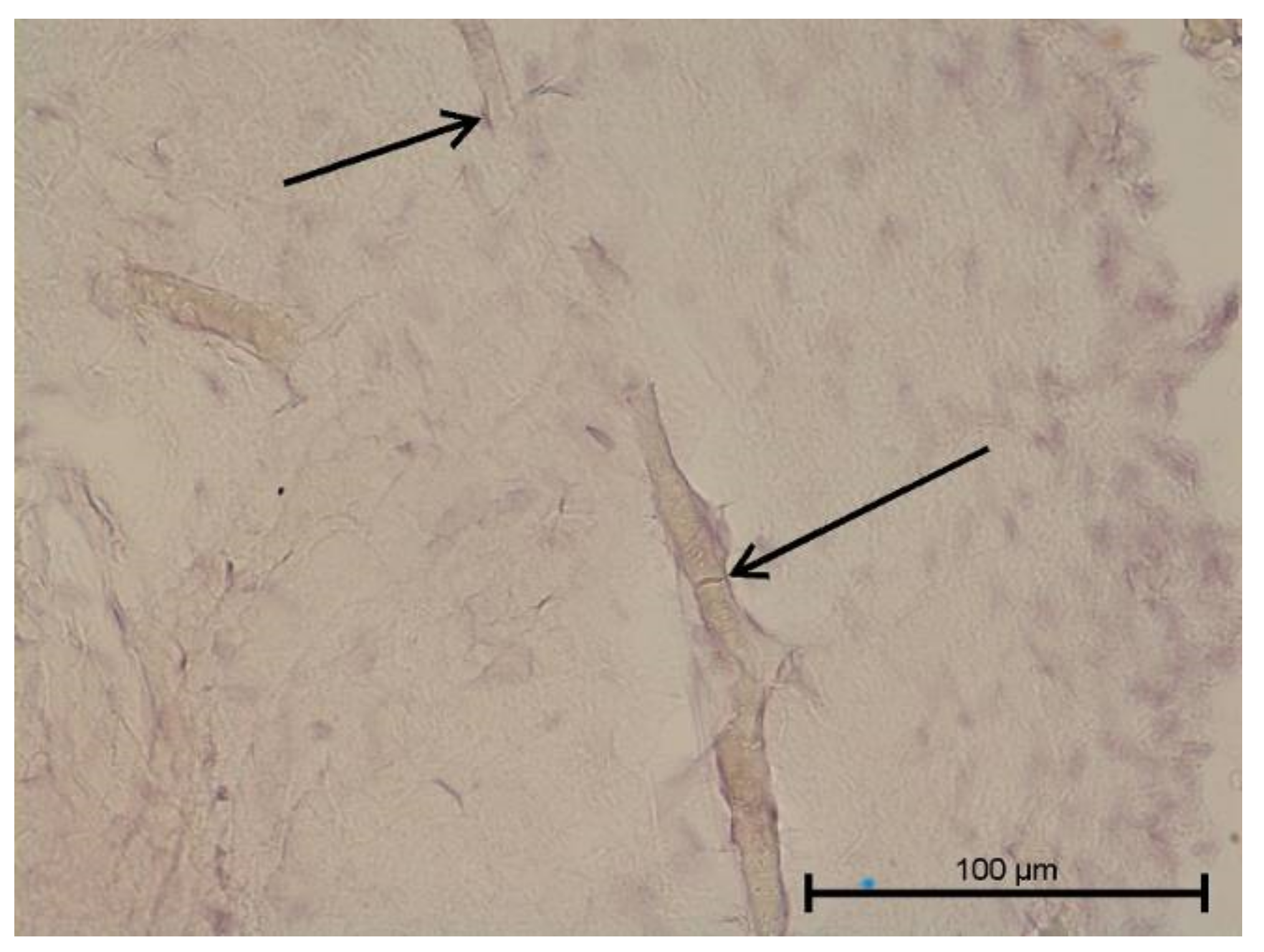 Biology 11 00635 g013