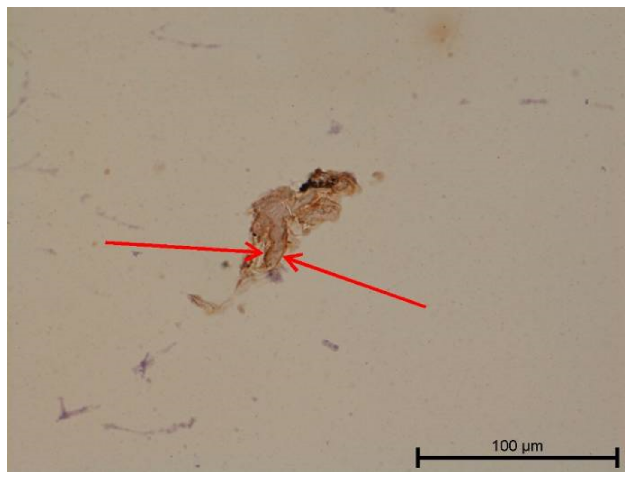 Biology 11 00635 g014