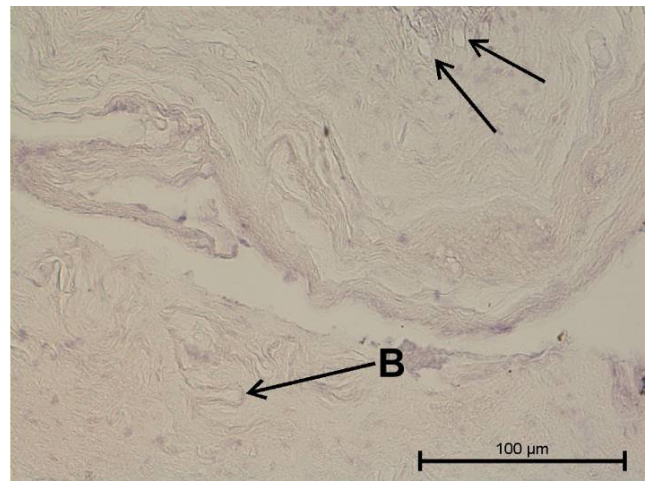 Biology 11 00635 g015
