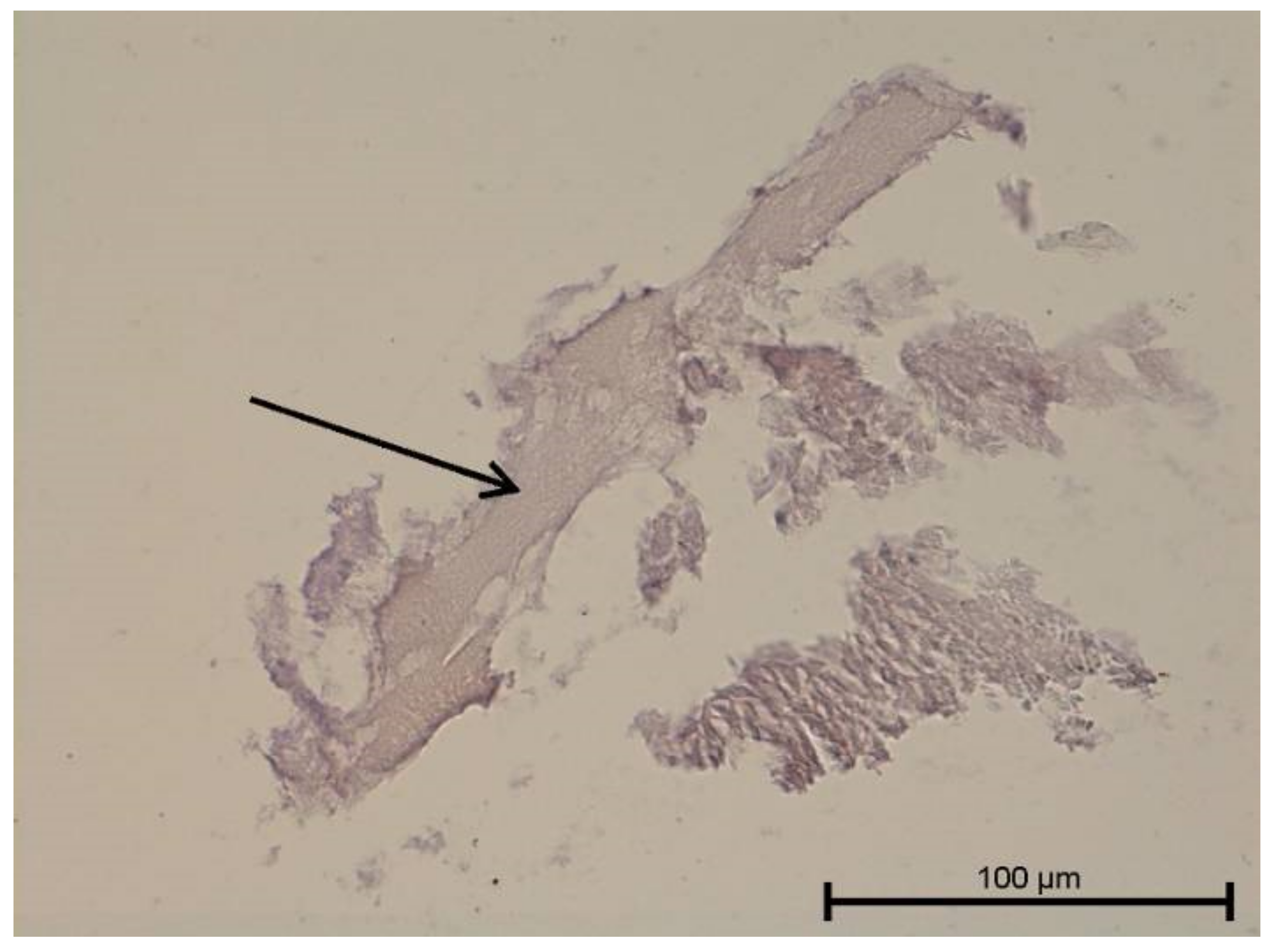 Biology 11 00635 g016