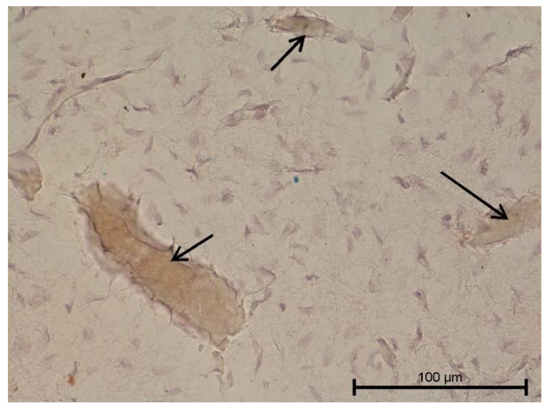 Biology 11 00635 g017