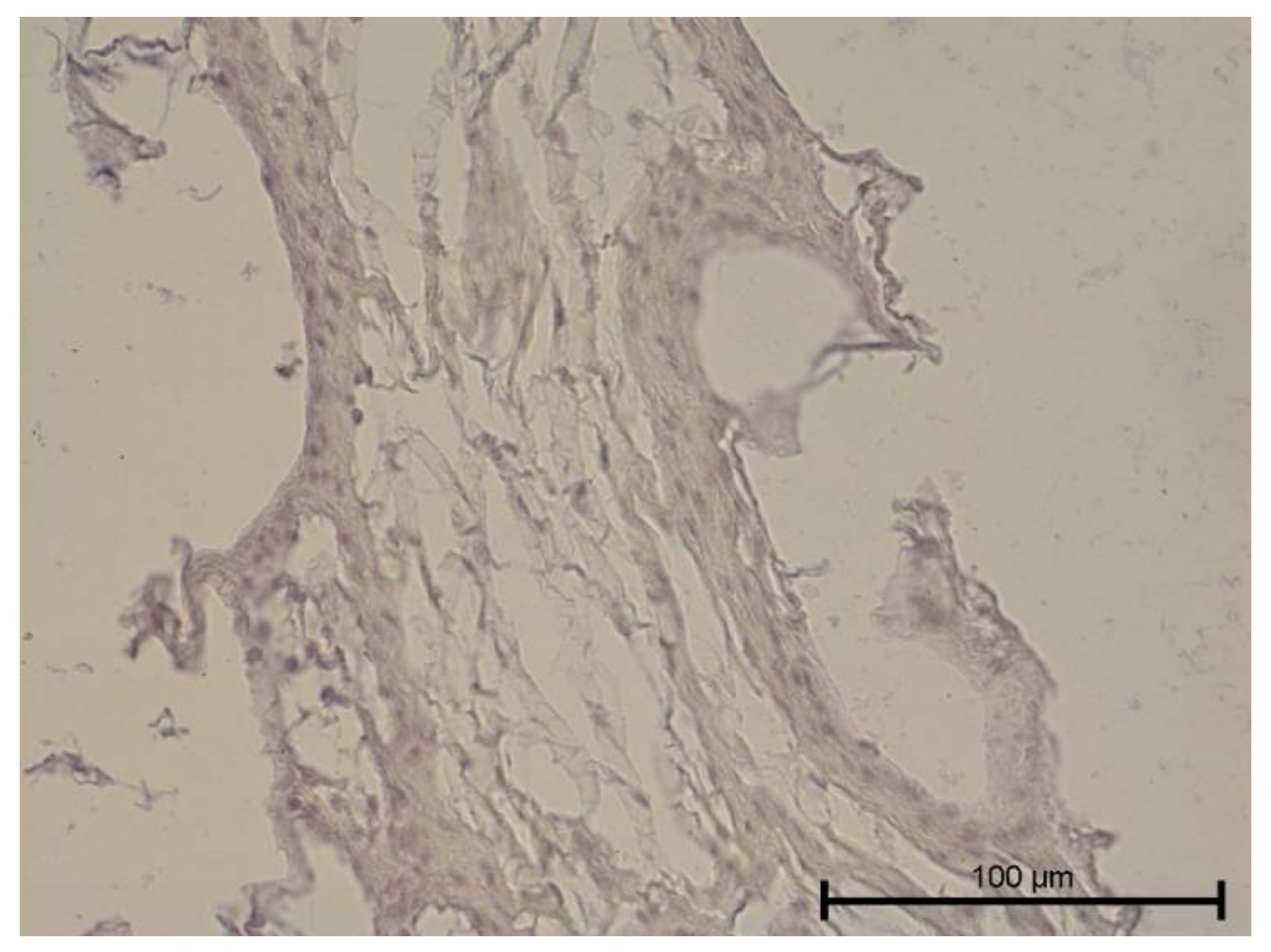 Biology 11 00635 g019