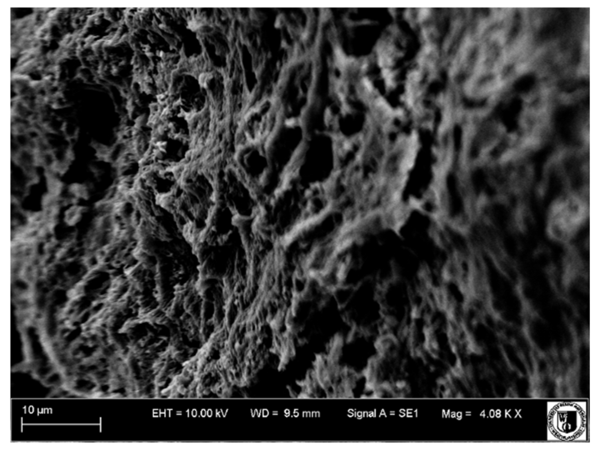 Biology 11 00635 g020