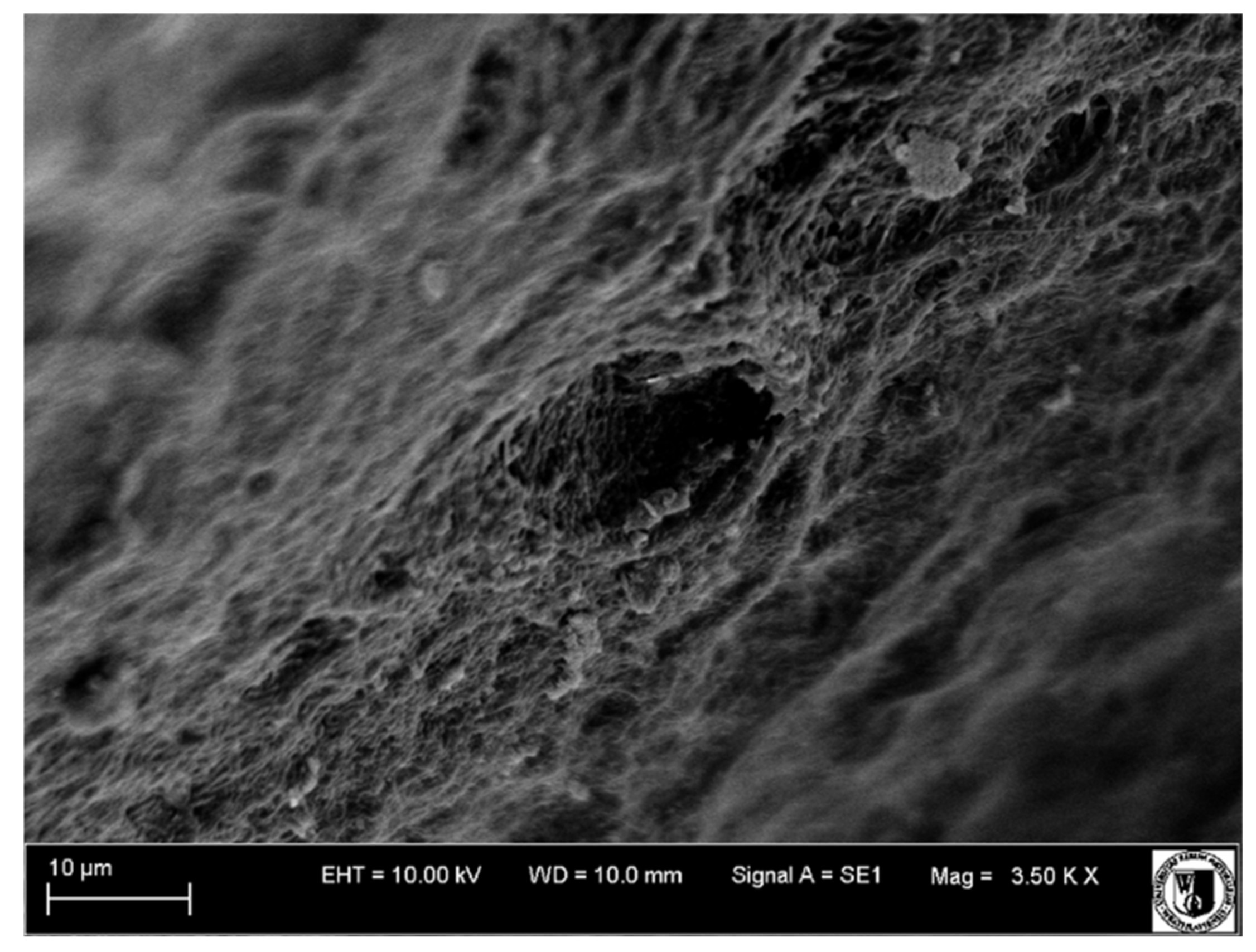 Biology 11 00635 g022