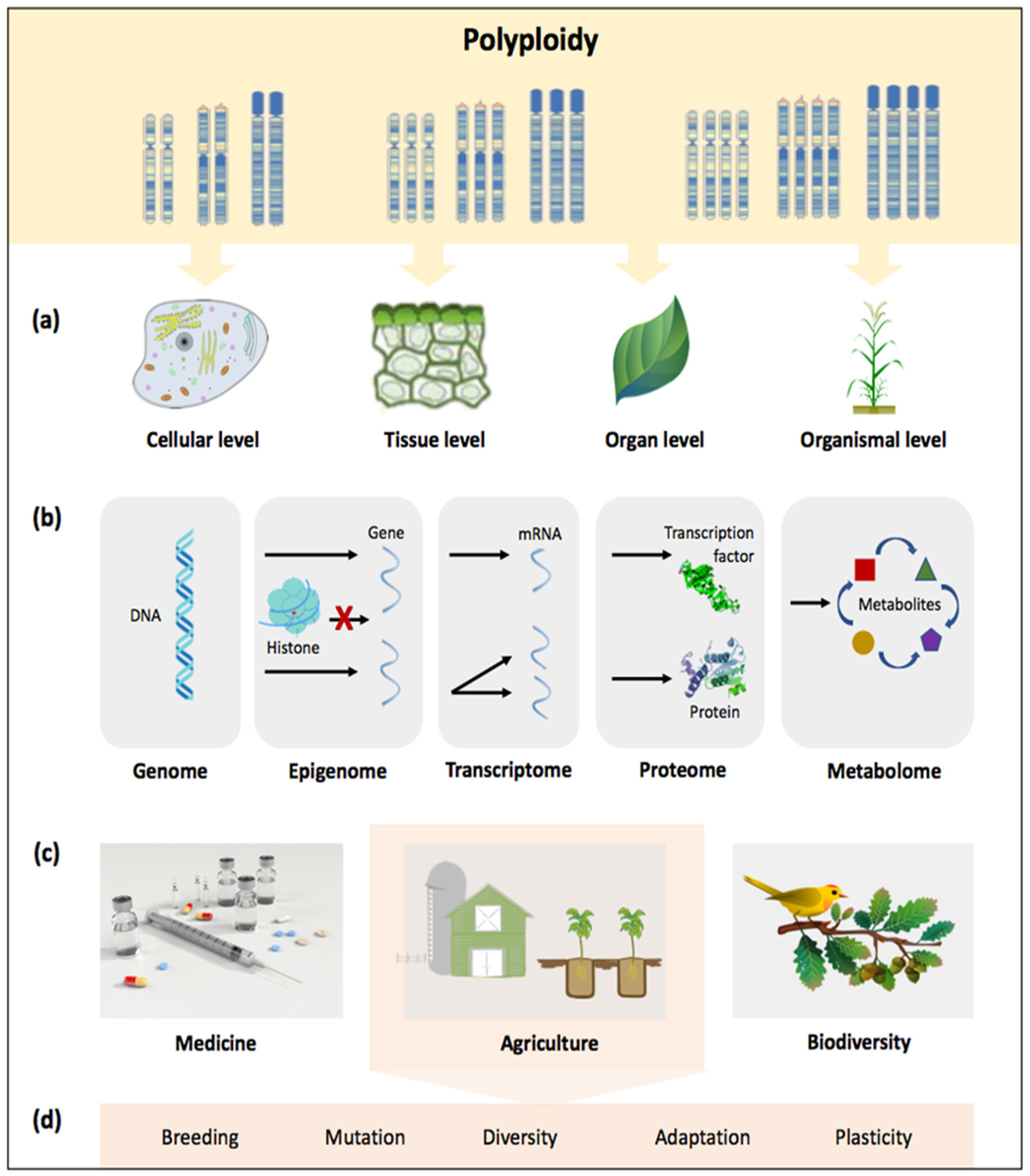Biology 11 00636 g001