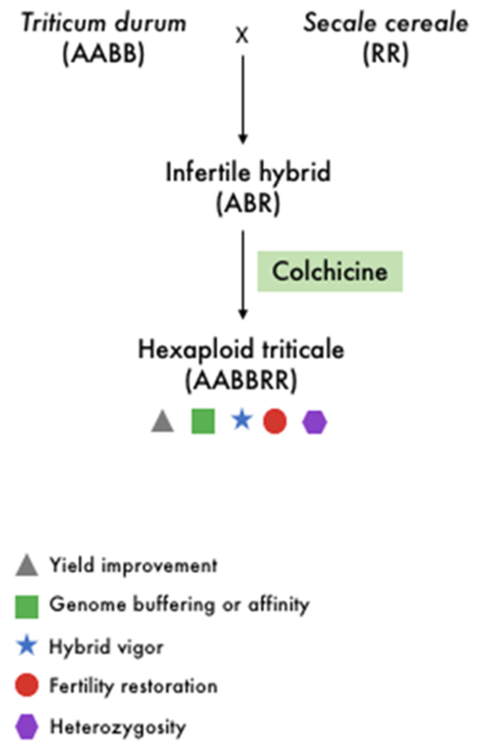 Biology 11 00636 g002
