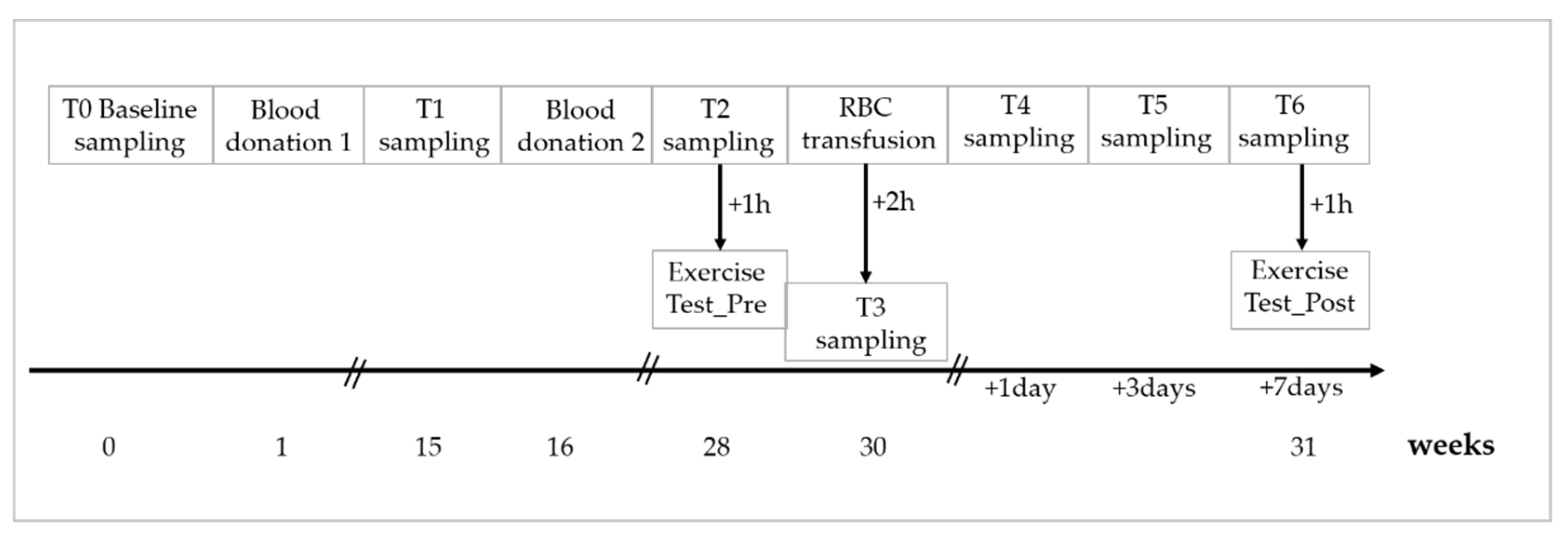 Biology 11 00647 g001