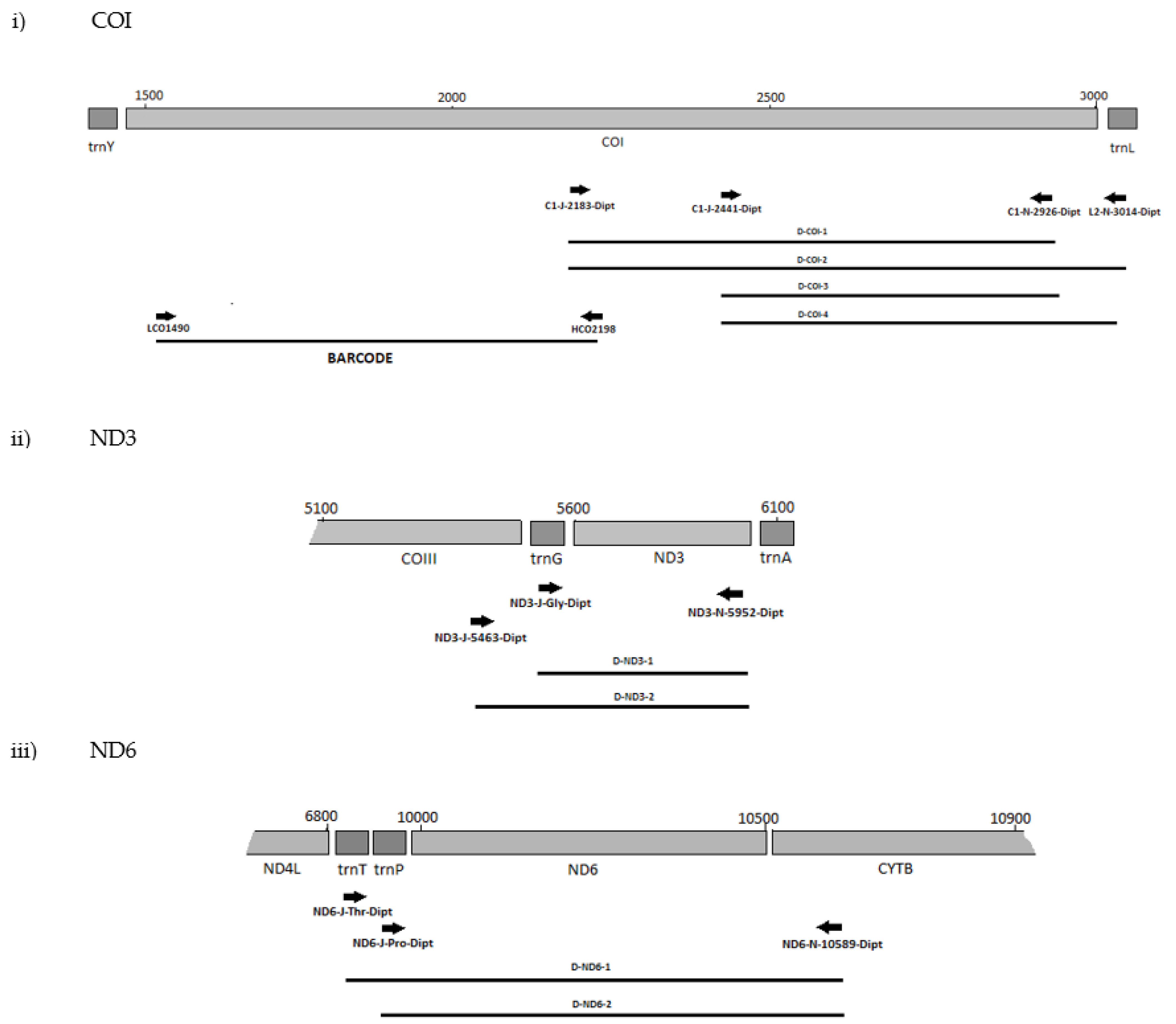 Biology 11 00654 g001a