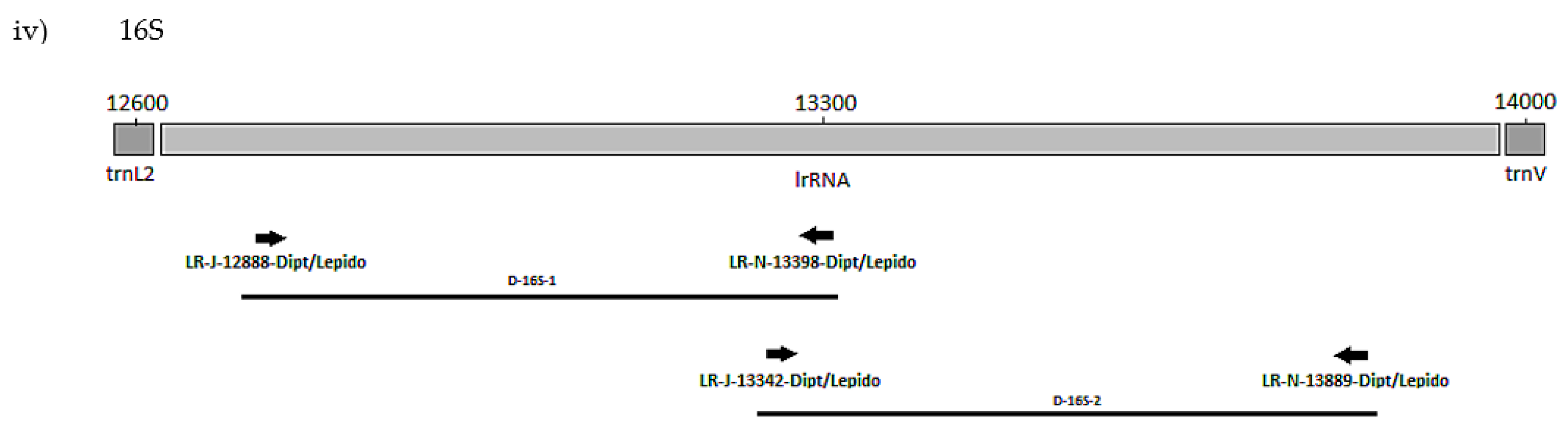 Biology 11 00654 g001b