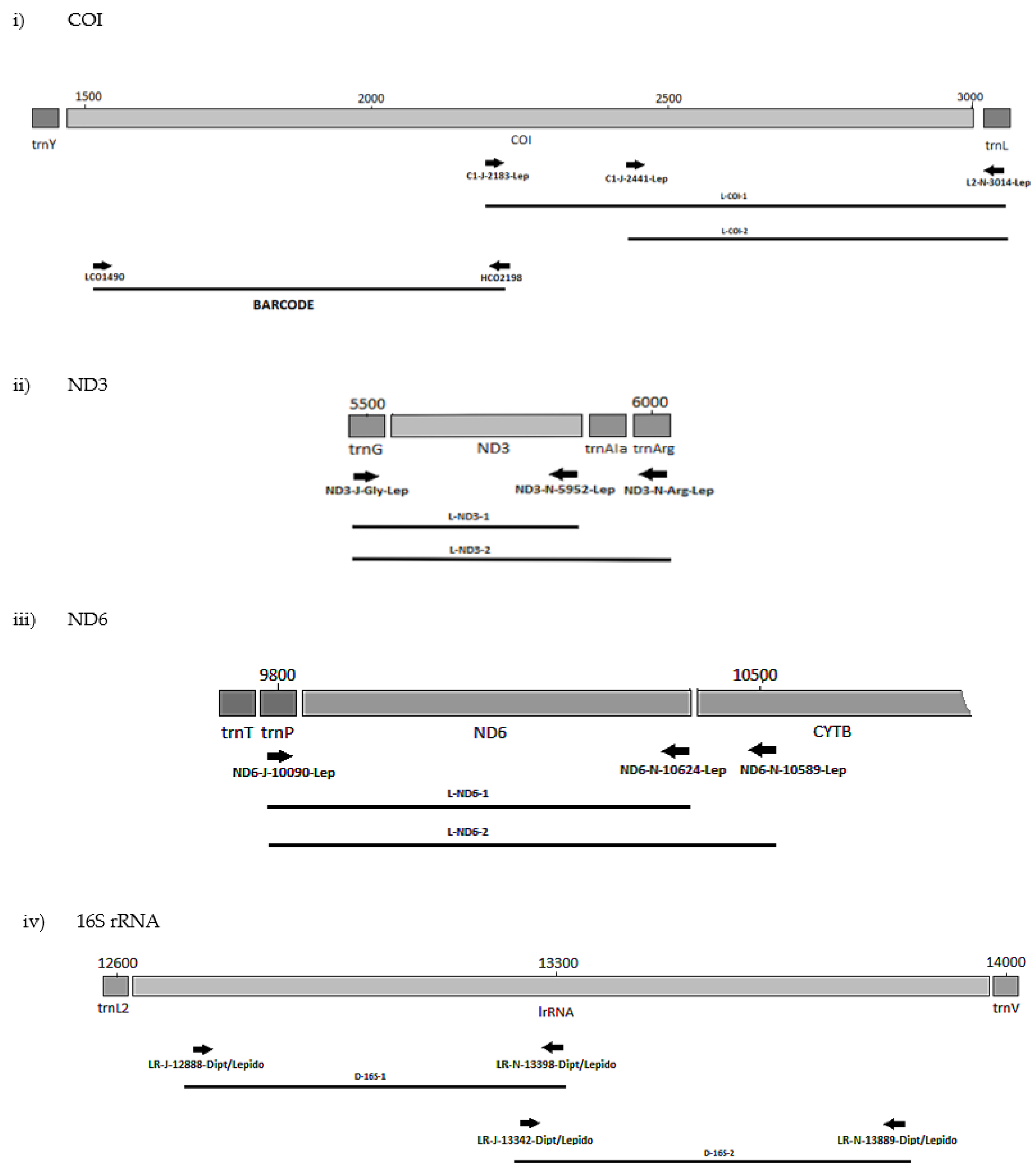 Biology 11 00654 g002