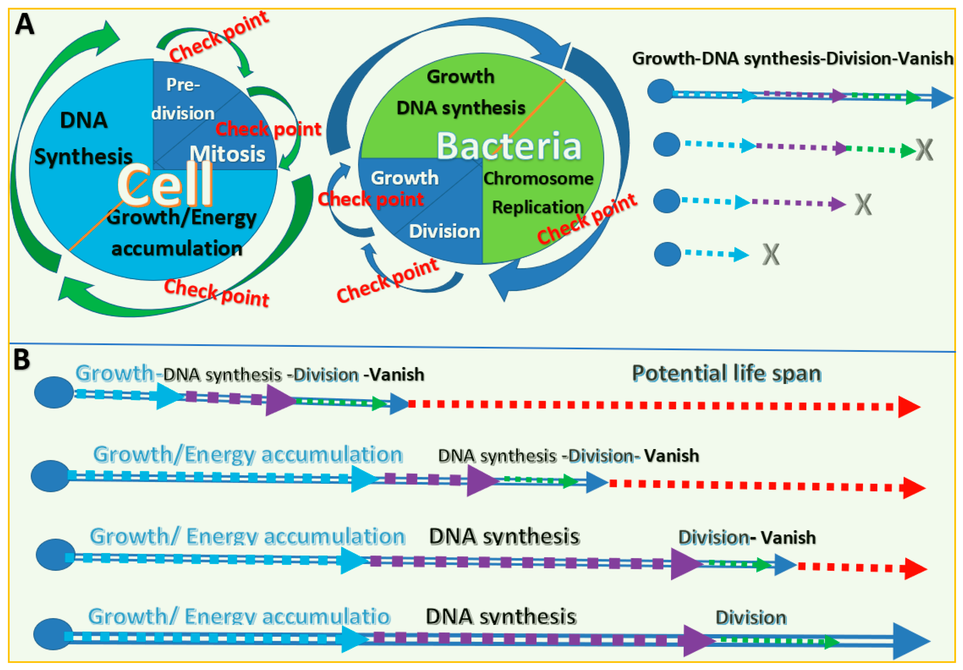 Biology 11 00656 g001