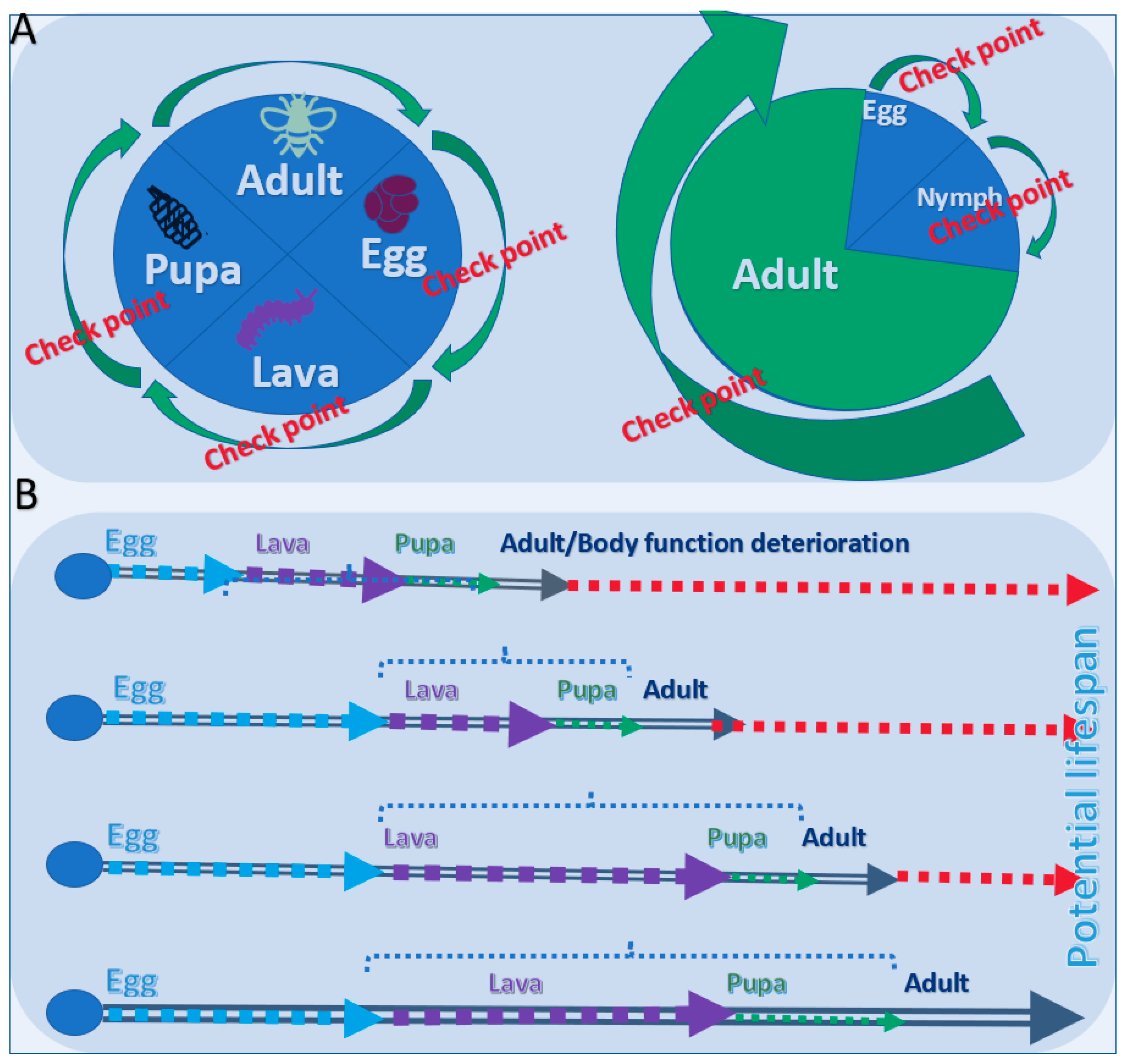 Biology 11 00656 g003