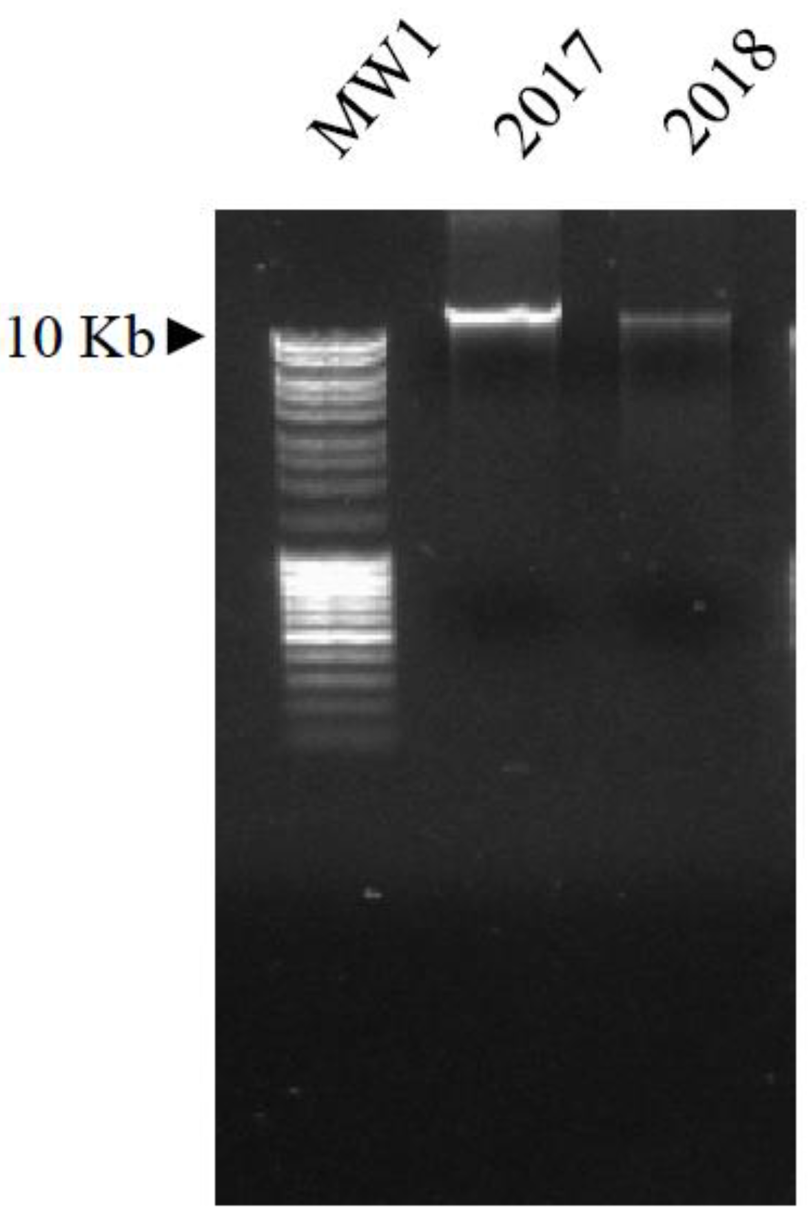Biology 11 00672 g004