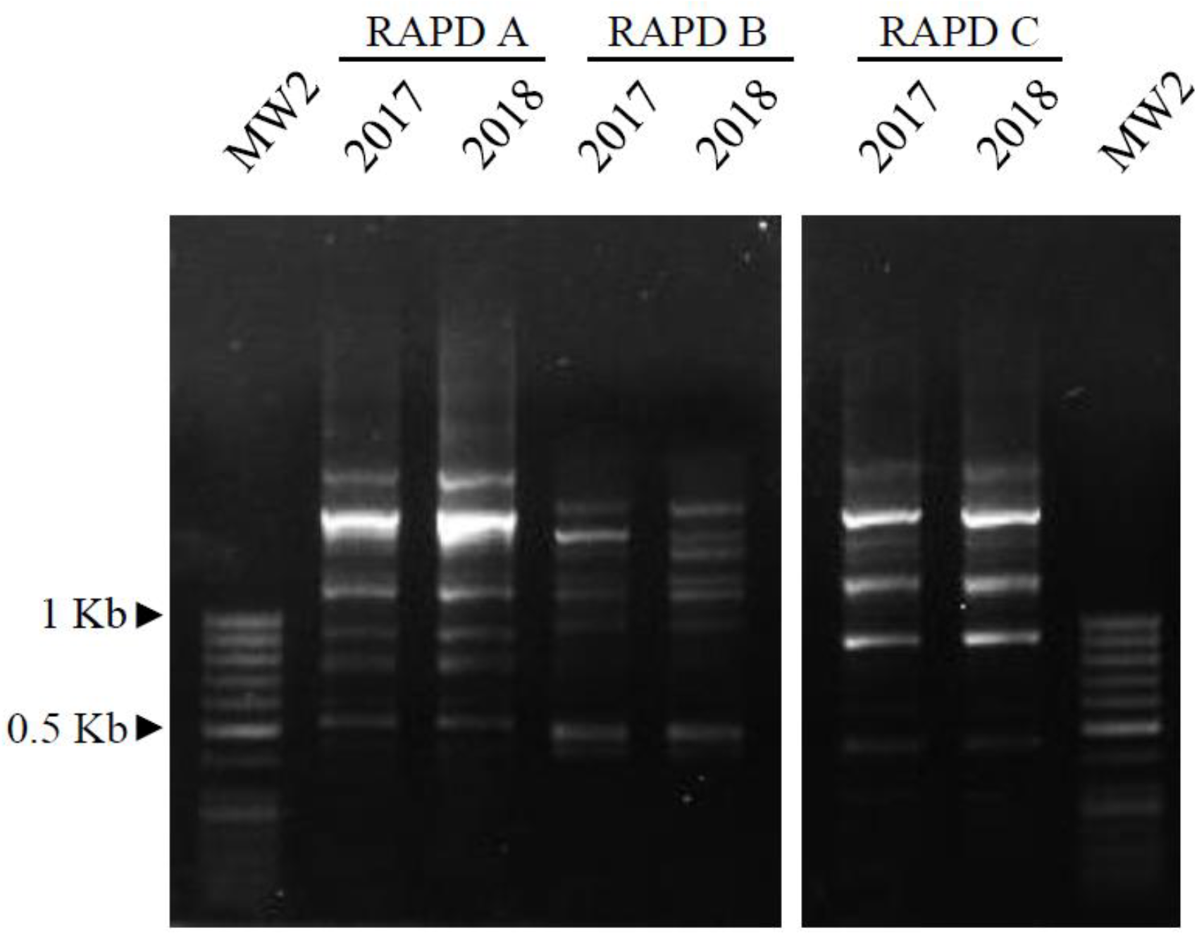 Biology 11 00672 g005