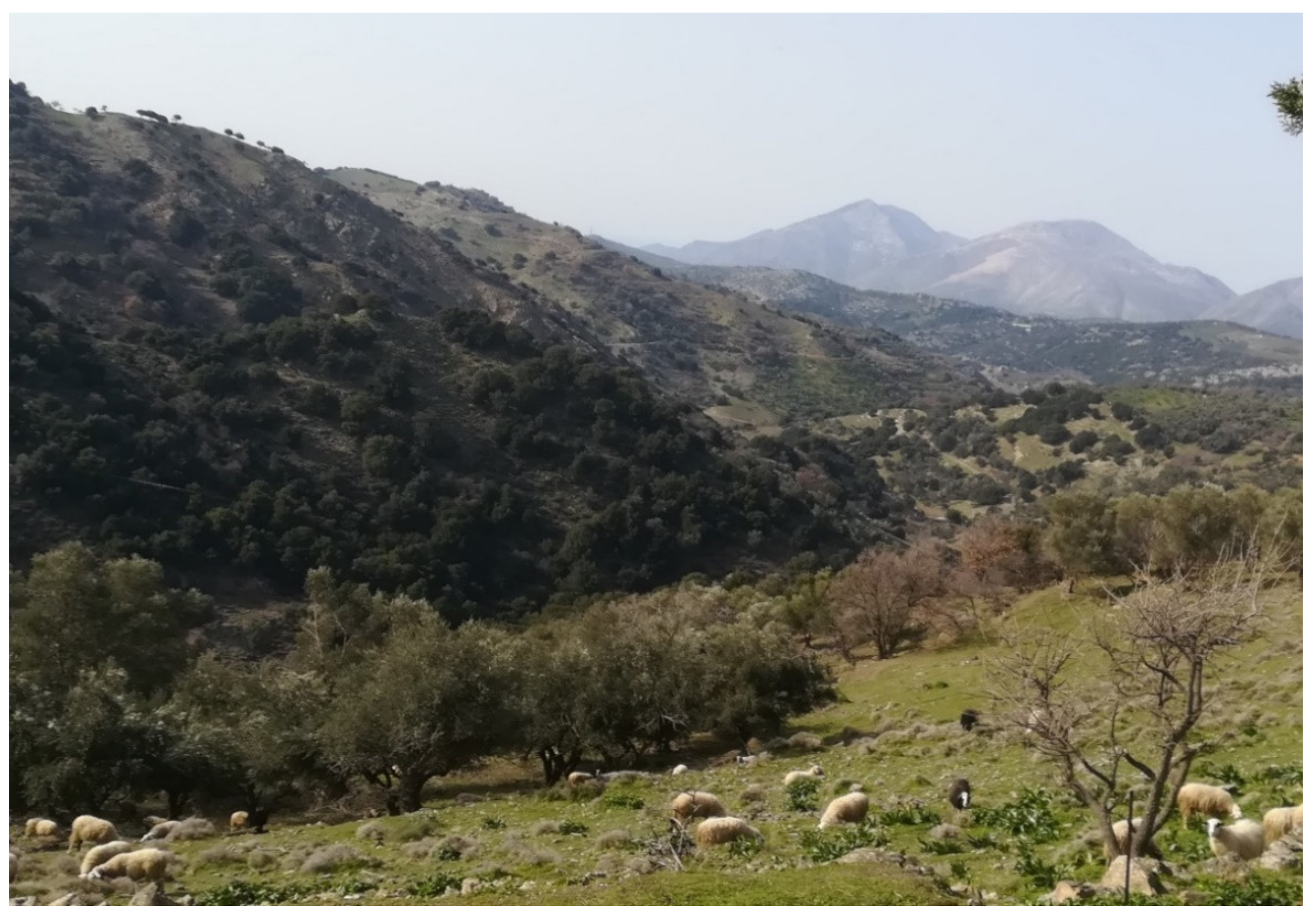 Biology 11 00673 g003