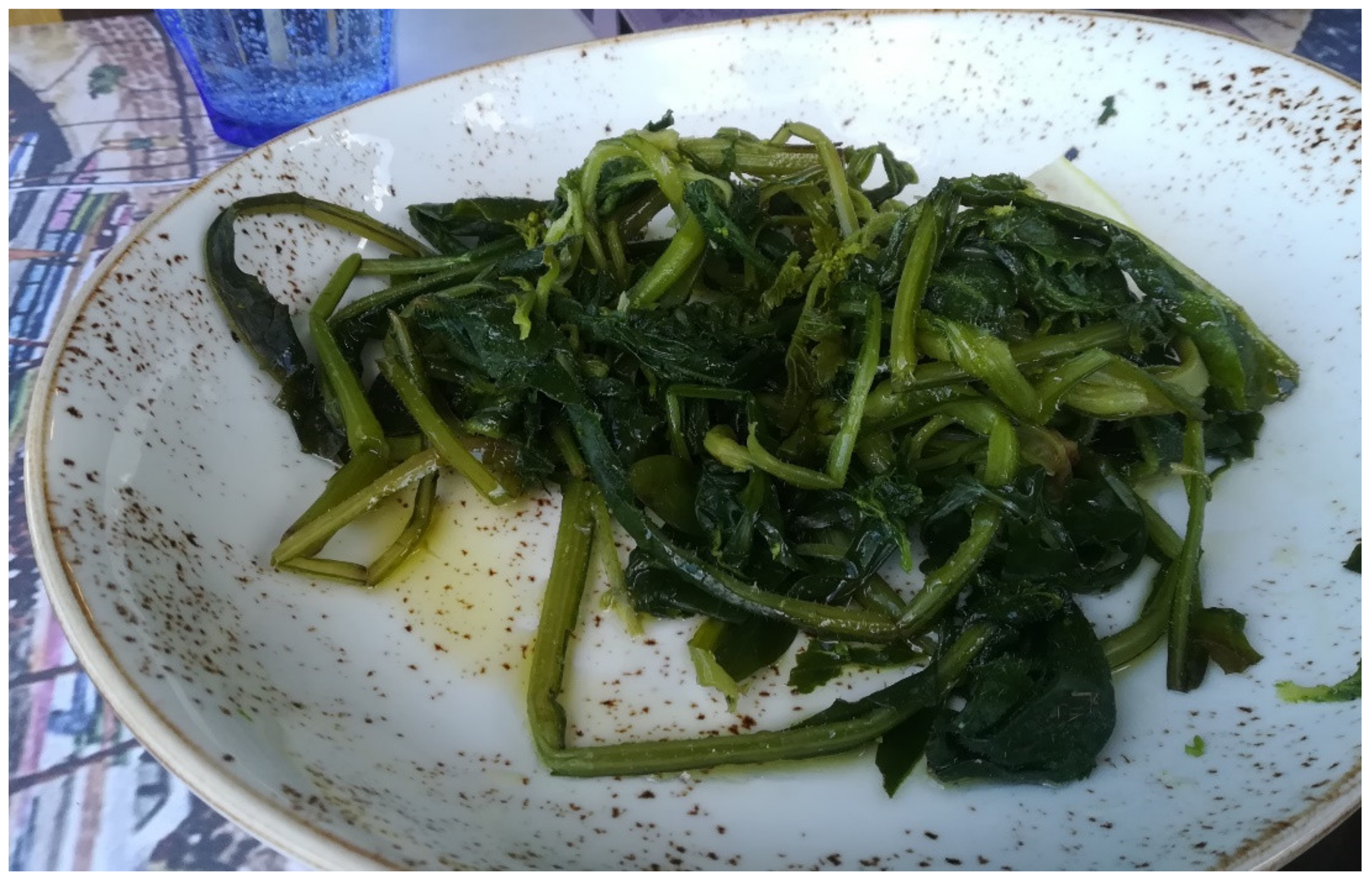 Biology 11 00673 g005