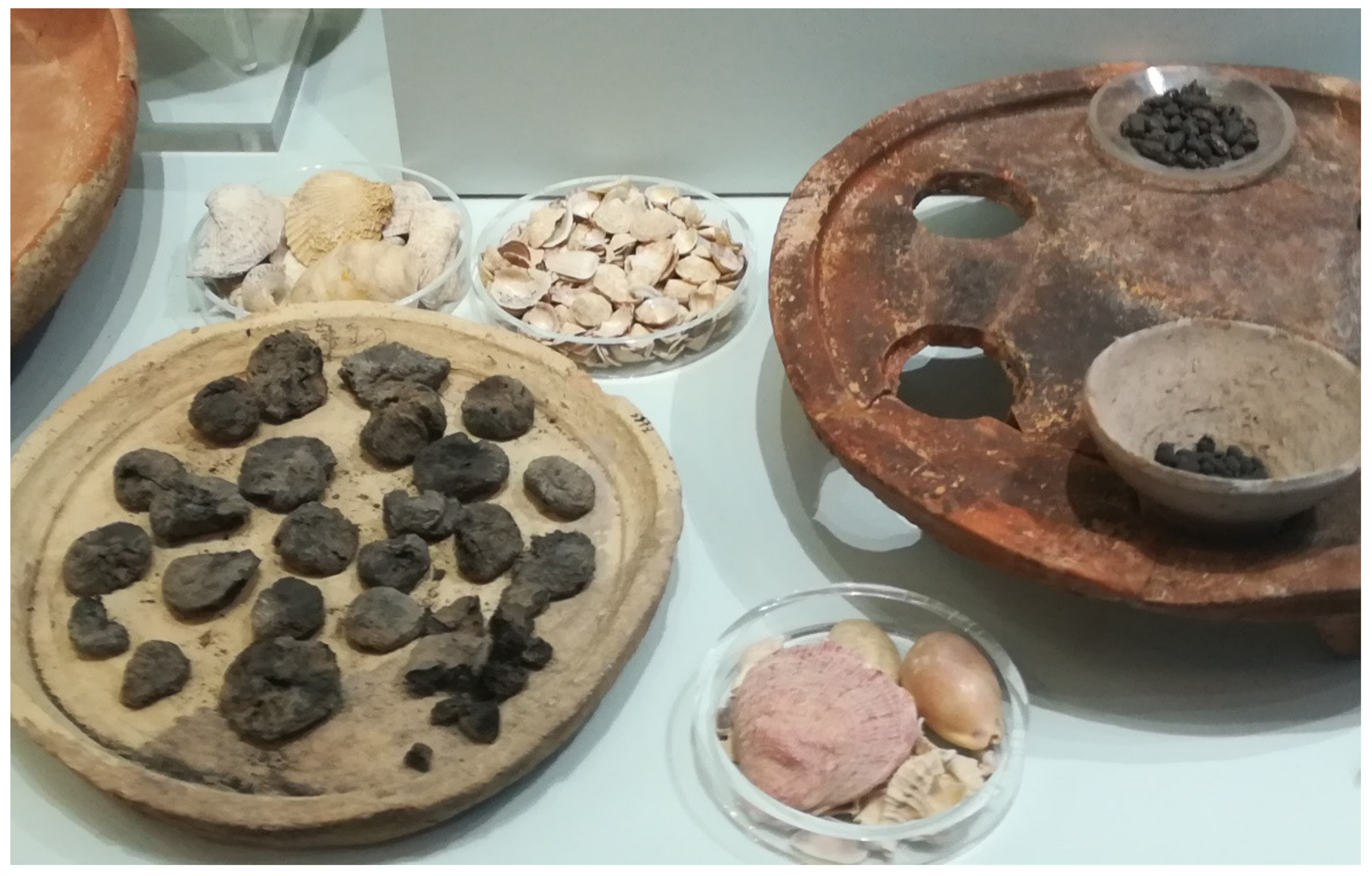 Biology 11 00673 g007