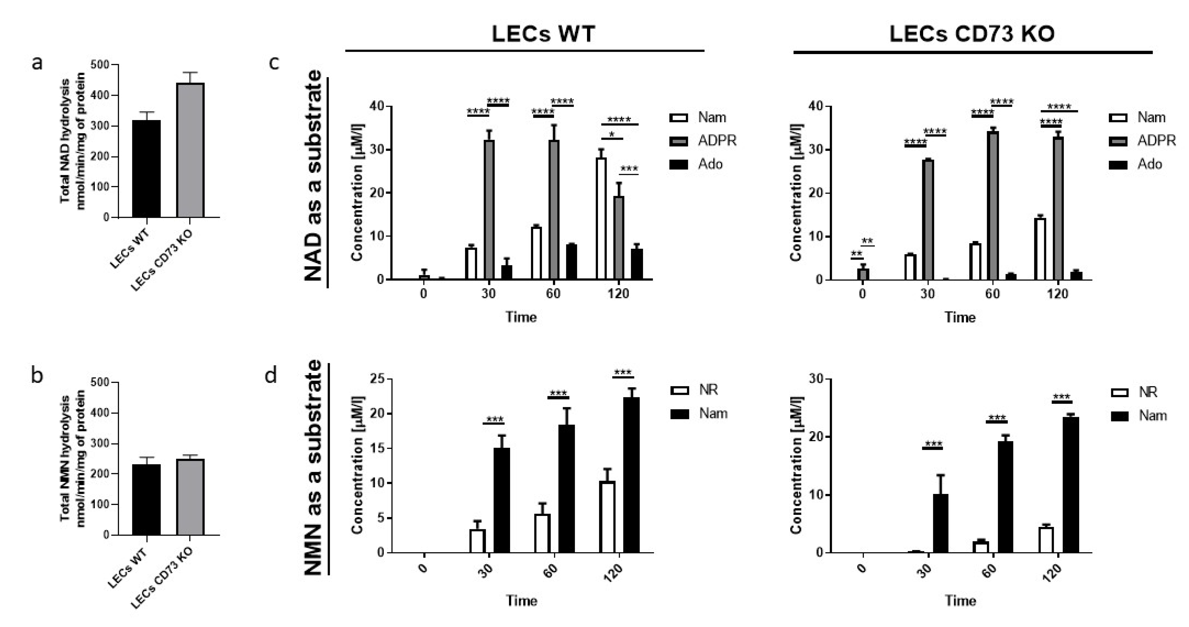 Biology 11 00675 g003