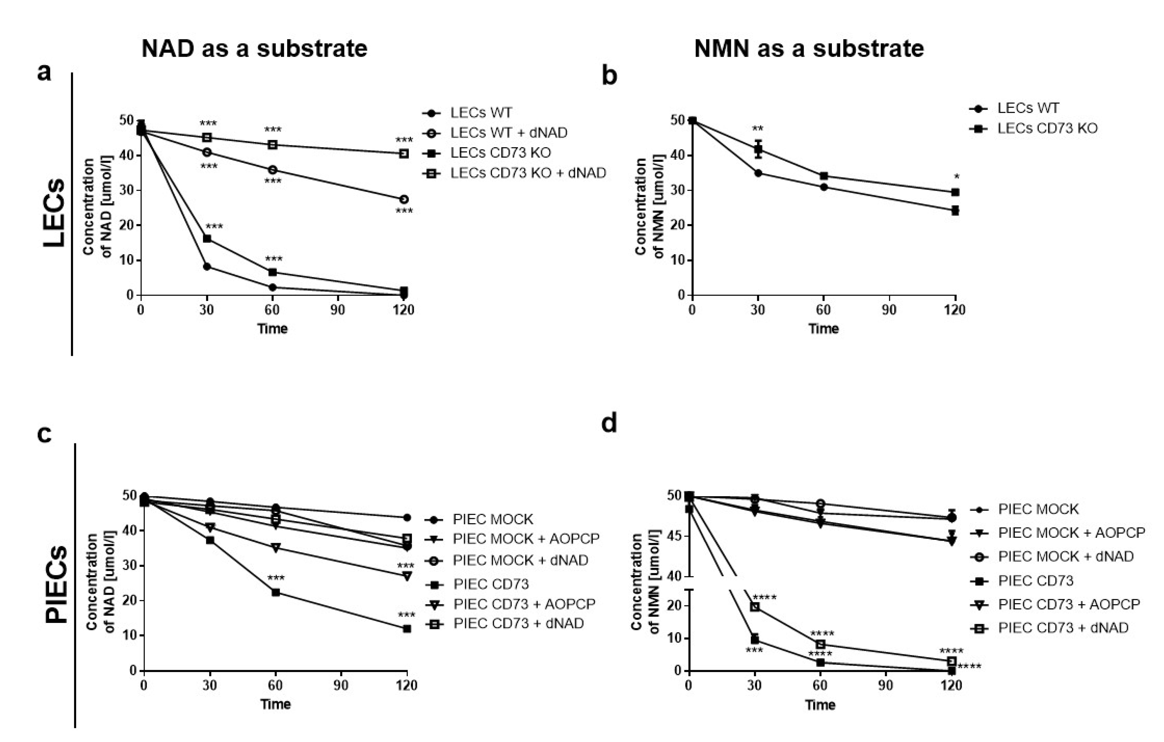 Biology 11 00675 g004