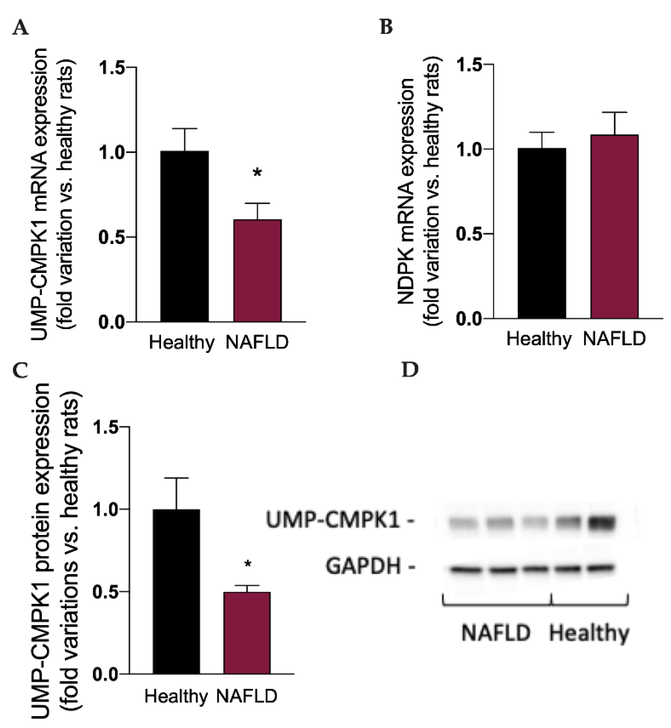 Biology 11 00693 g004