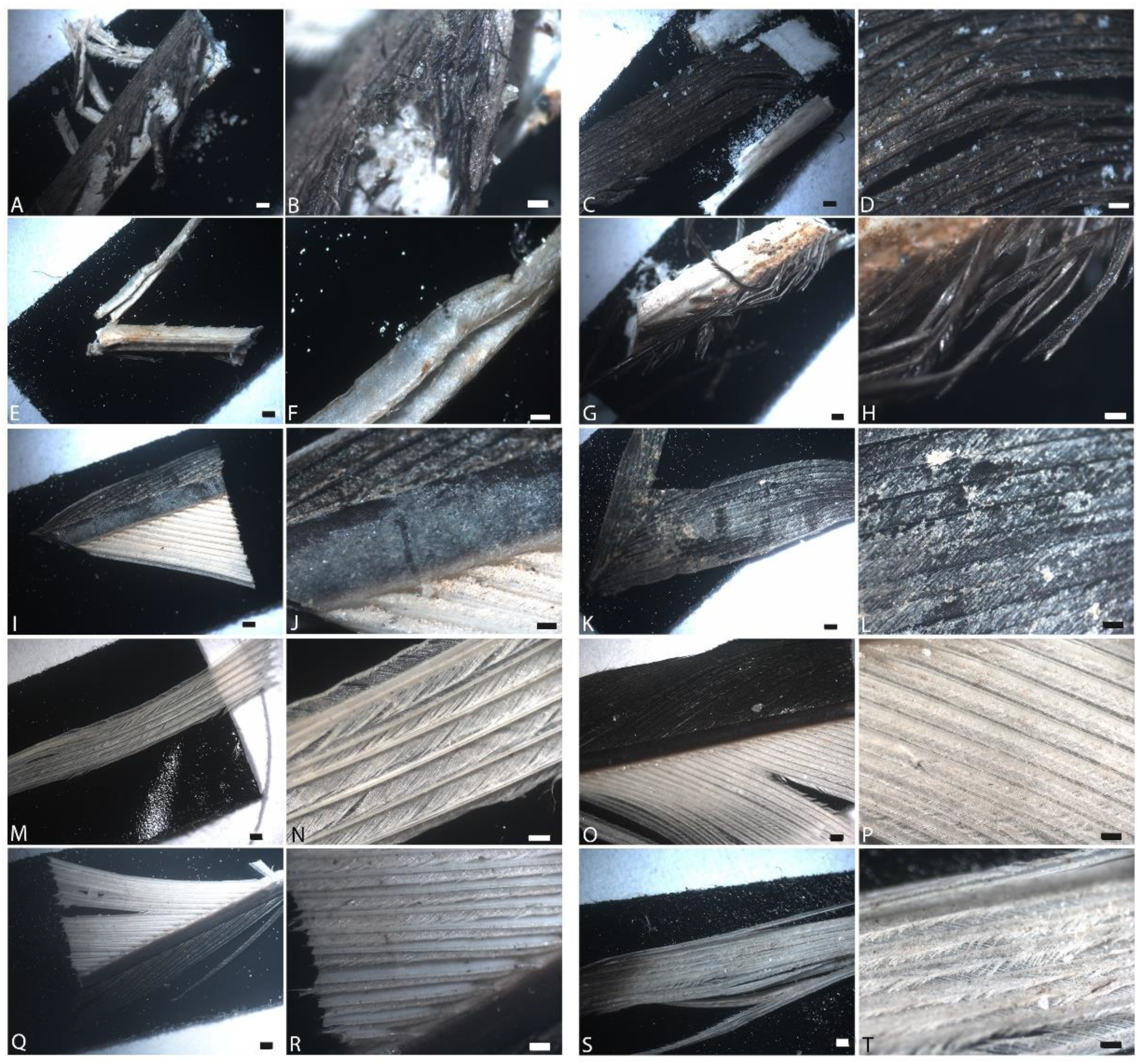 Biology 11 00703 g001