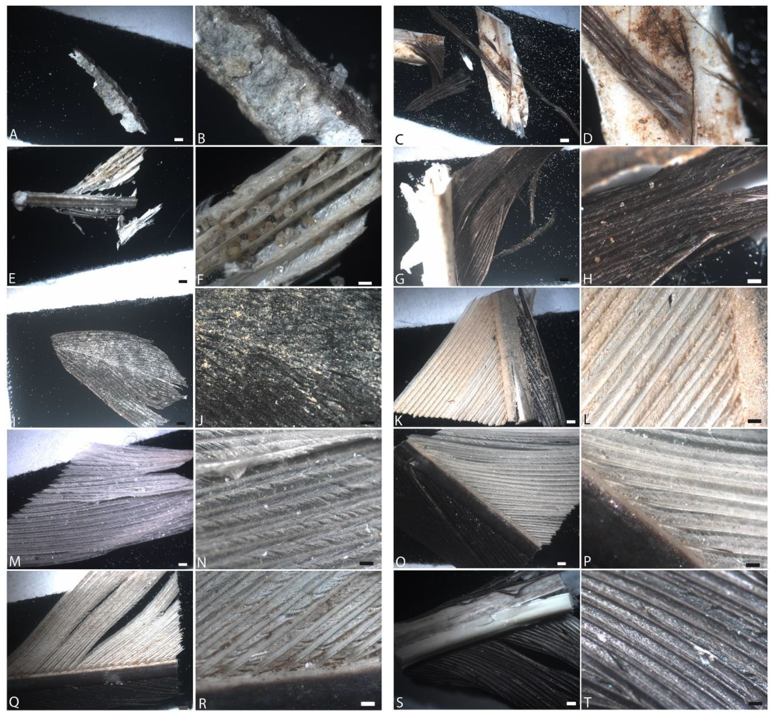 Biology 11 00703 g002