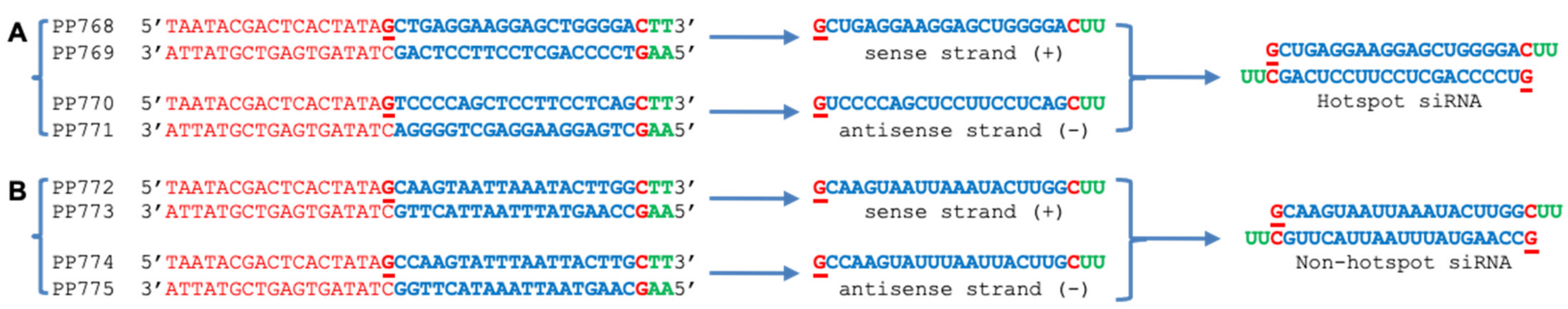 Biology 11 00714 g001