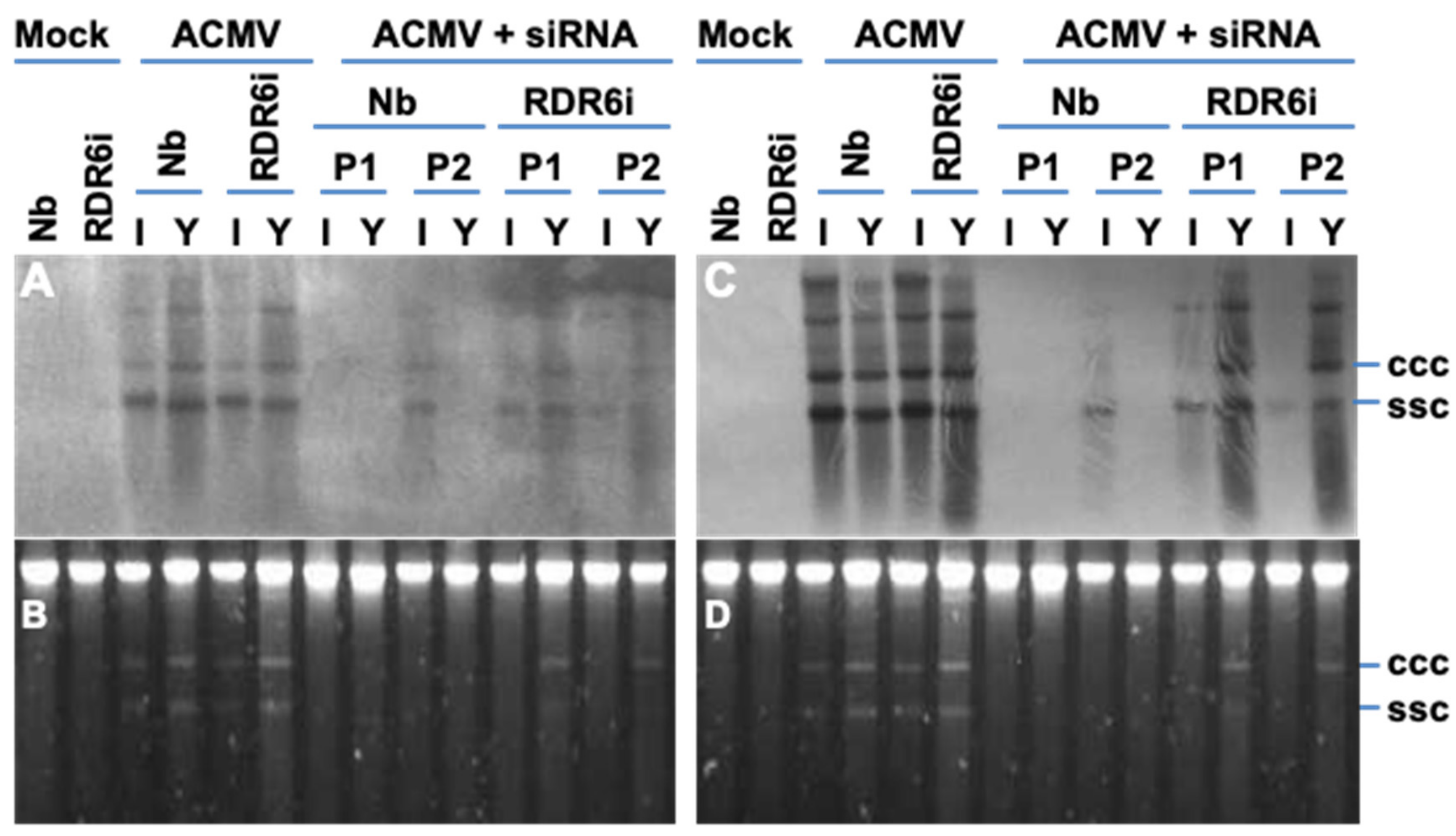 Biology 11 00714 g005