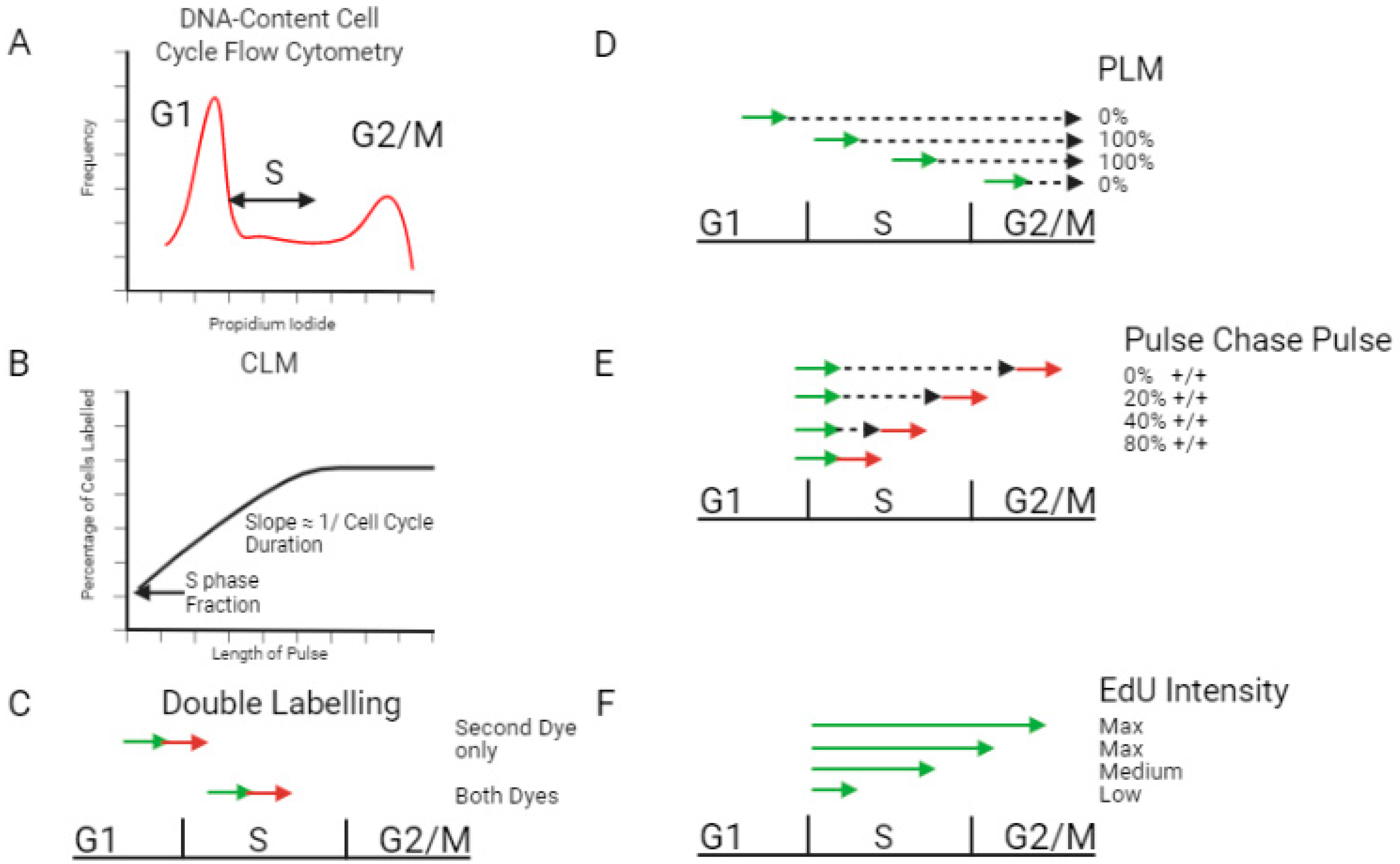 Biology 11 00718 g001