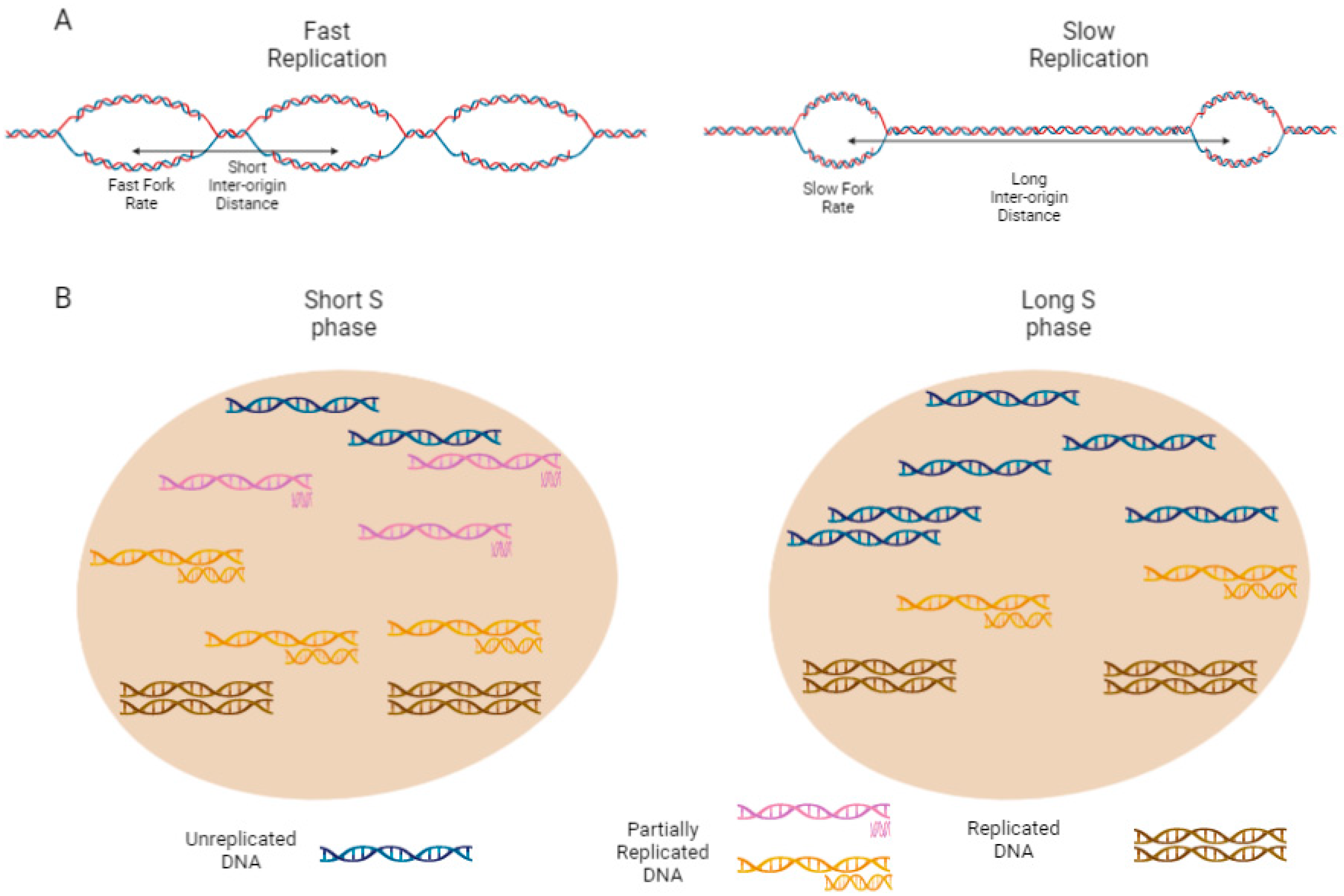 Biology 11 00718 g002