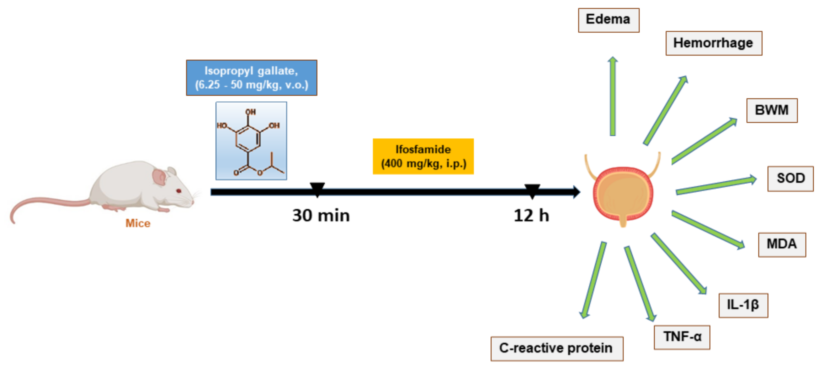 Biology 11 00728 g001